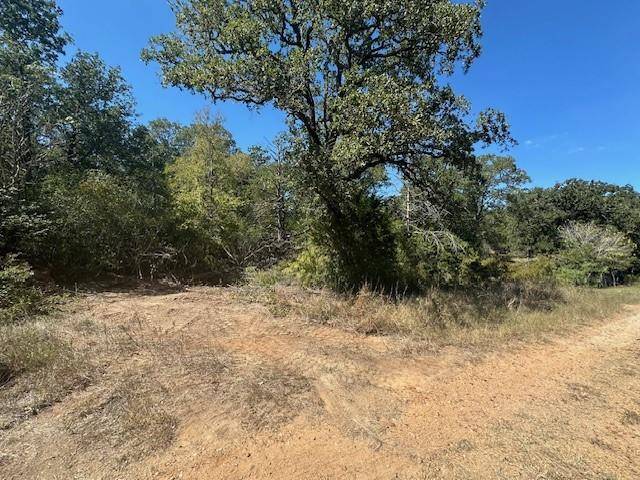 0 Tbd lot 102 and lot 100 Ripple Brook DR, Bastrop, TX 78602
