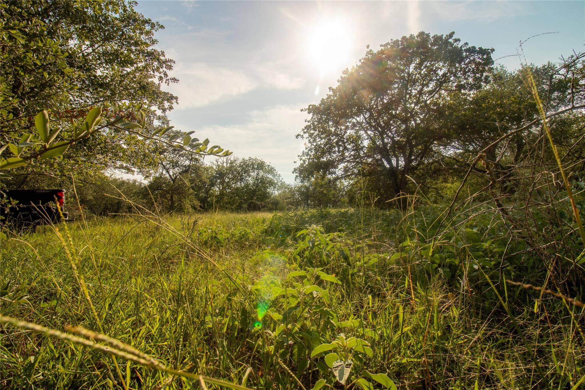 437 Firefly Field LN, Seguin, TX 78155