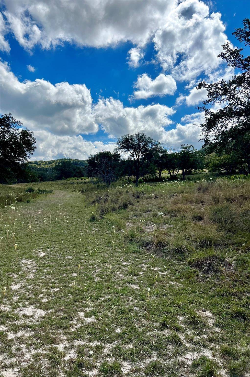 Lot 58 Red Stag LN, Pipe Creek, TX 78063