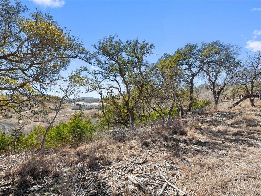 Lot 116 Majestic Hills DR, Blanco, TX 78606