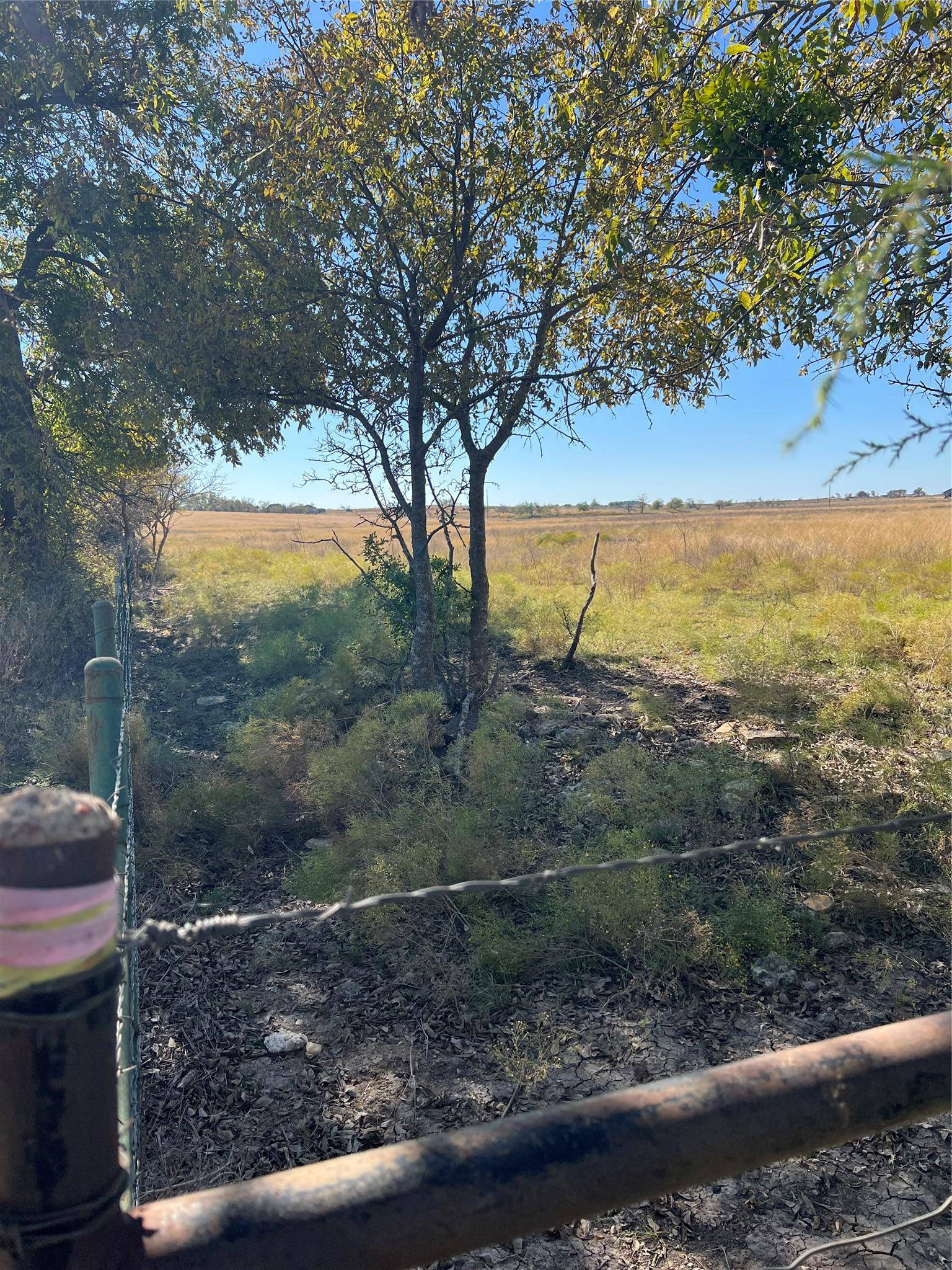 3300 Fm 1783, Gatesville, TX 76528