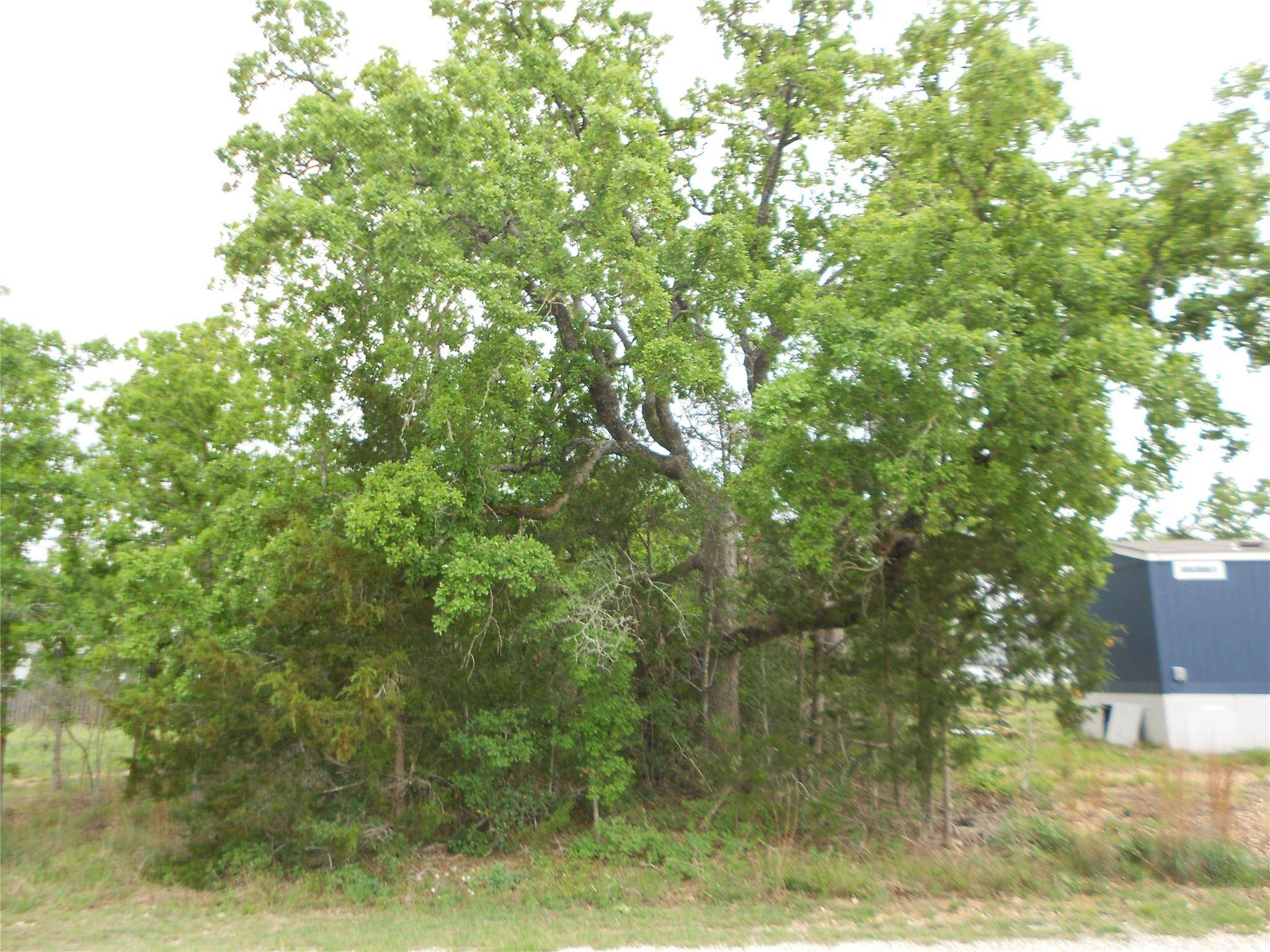 441 Tom Tom, Smithville, TX 78957