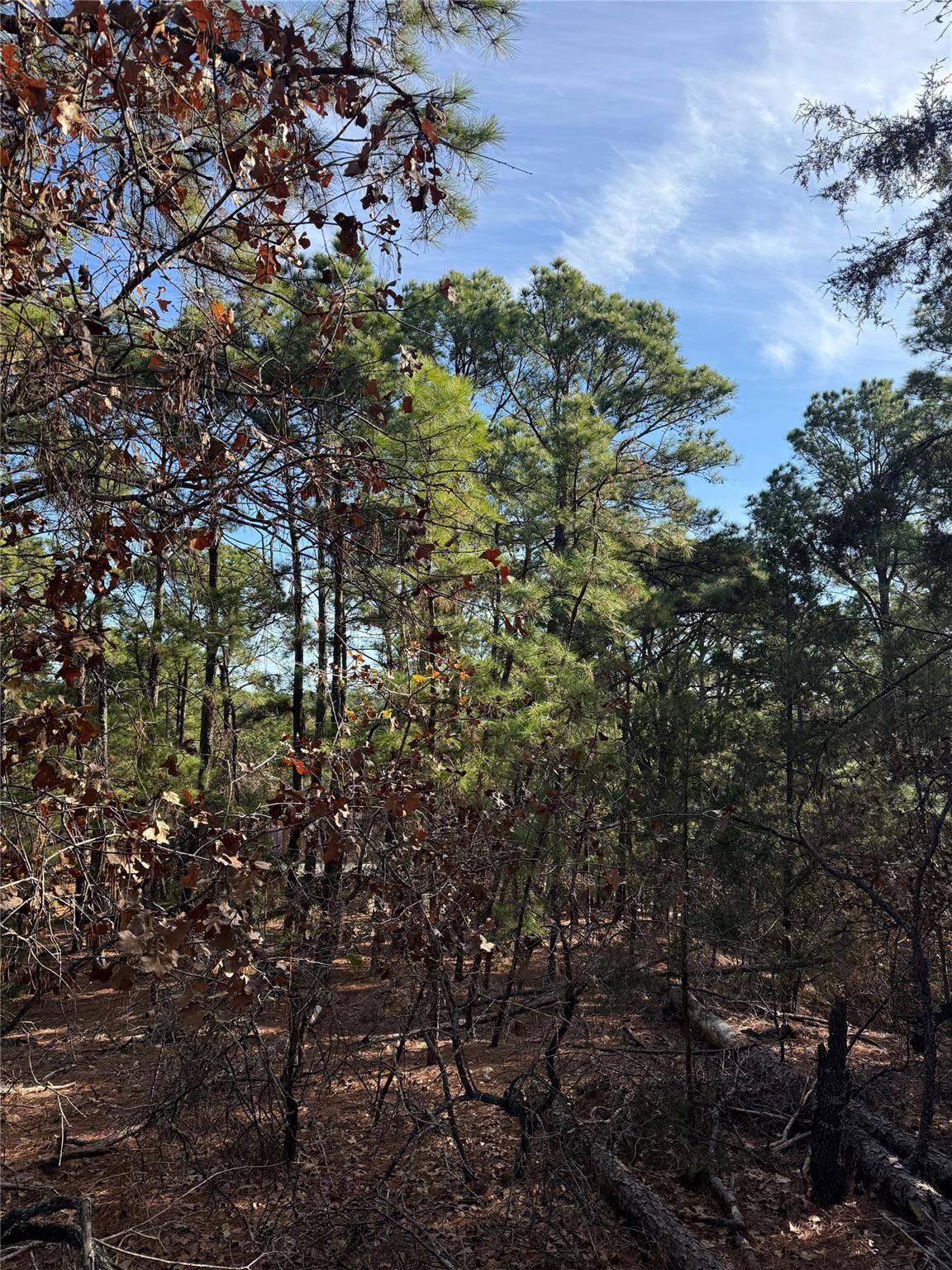 106 Llio CT, Bastrop, TX 78602
