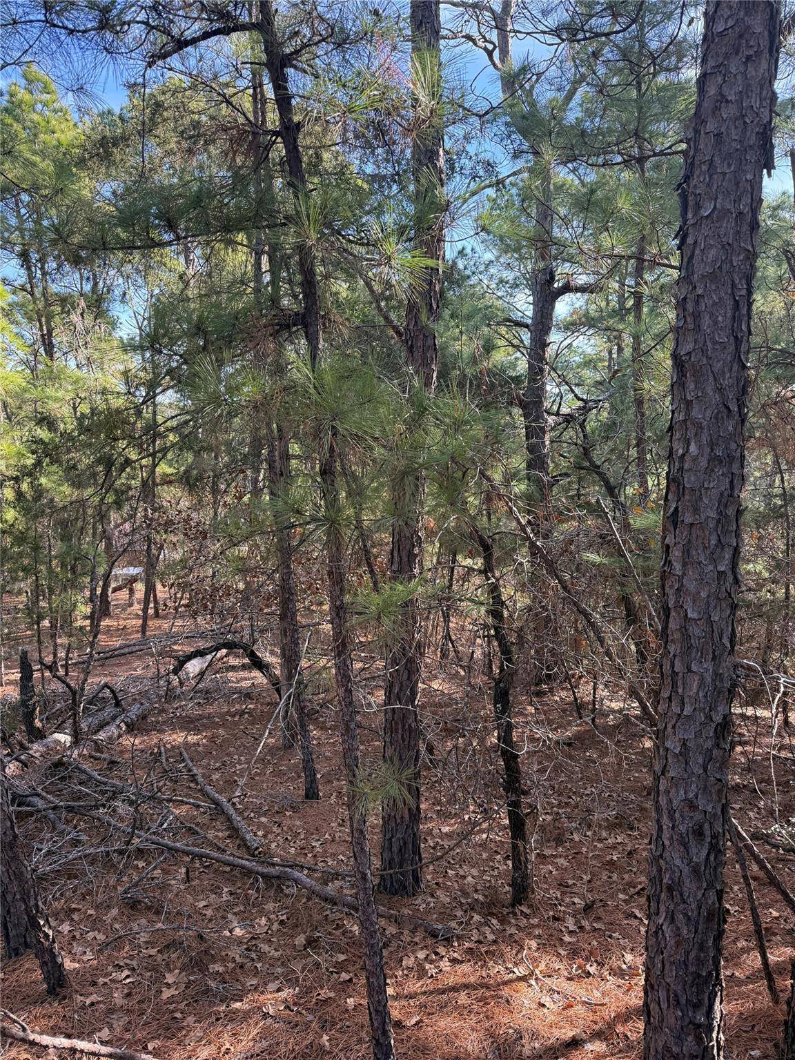 106 Llio CT, Bastrop, TX 78602