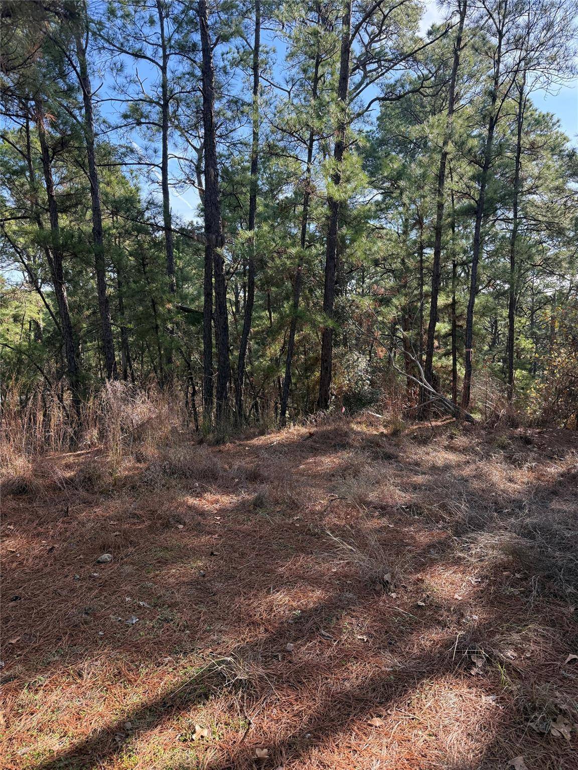 106 Llio CT, Bastrop, TX 78602