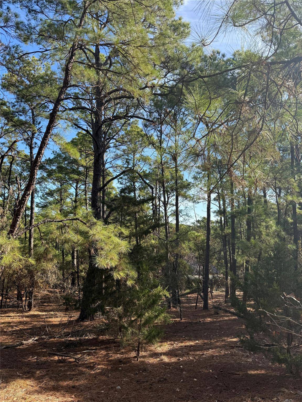 106 Llio CT, Bastrop, TX 78602