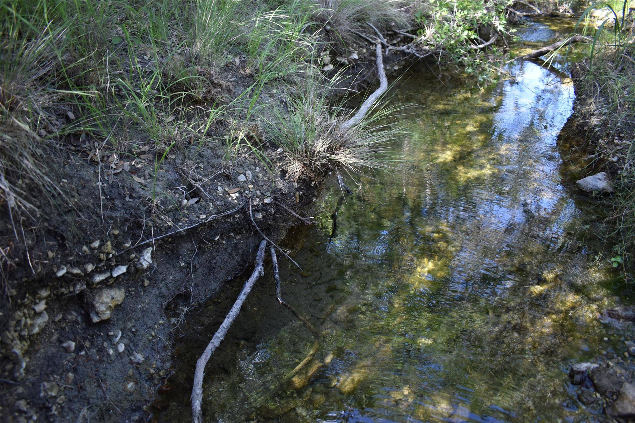 Lot 24 Riparian Elm RD, Bertram, TX 78605