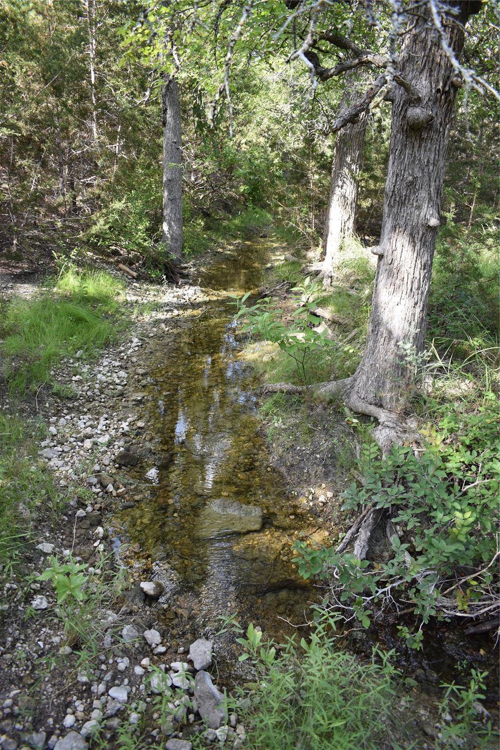 Lot 24 Riparian Elm RD, Bertram, TX 78605