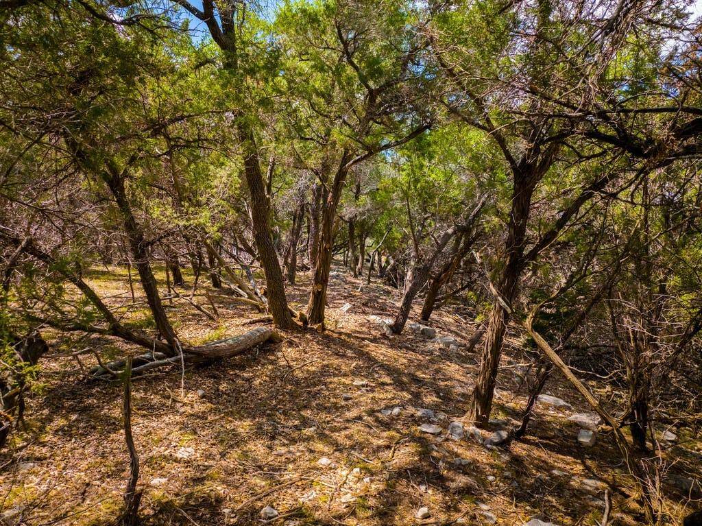 13409 Madrone Mountain WAY, Austin, TX 78737