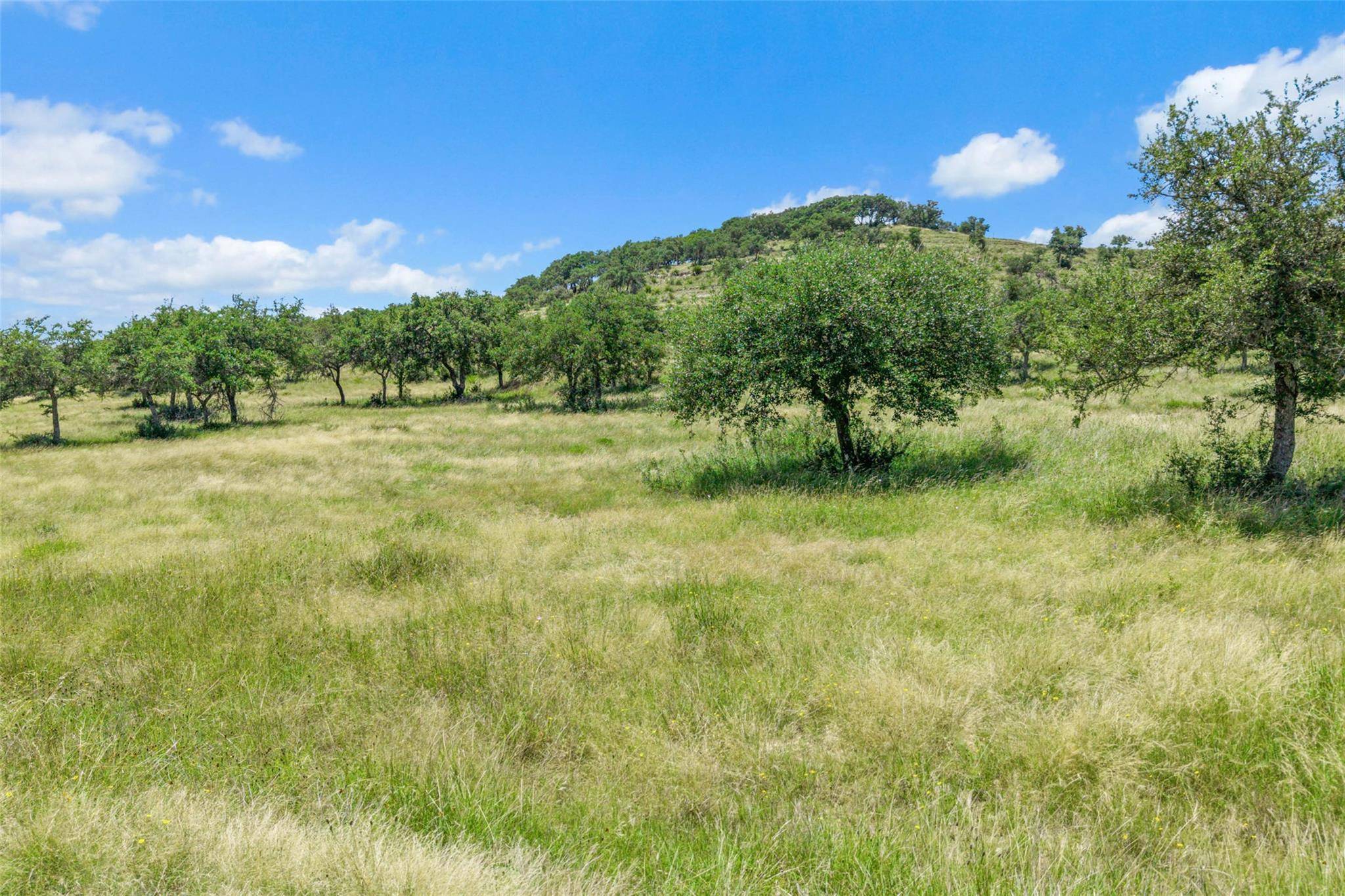 5032 Kendalia RD, Blanco, TX 78606