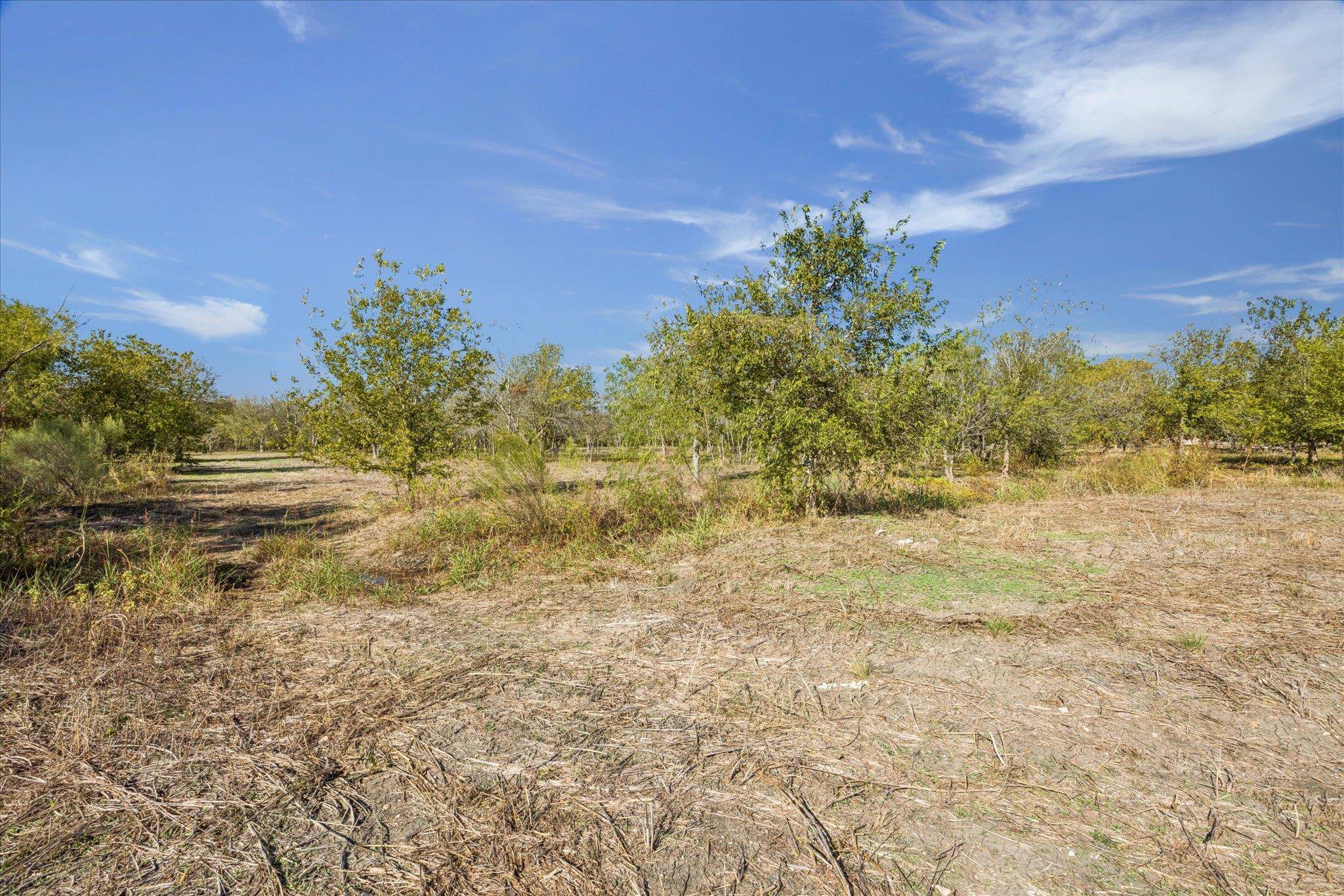 10719 San Jose Ave, Del Valle, TX 78617