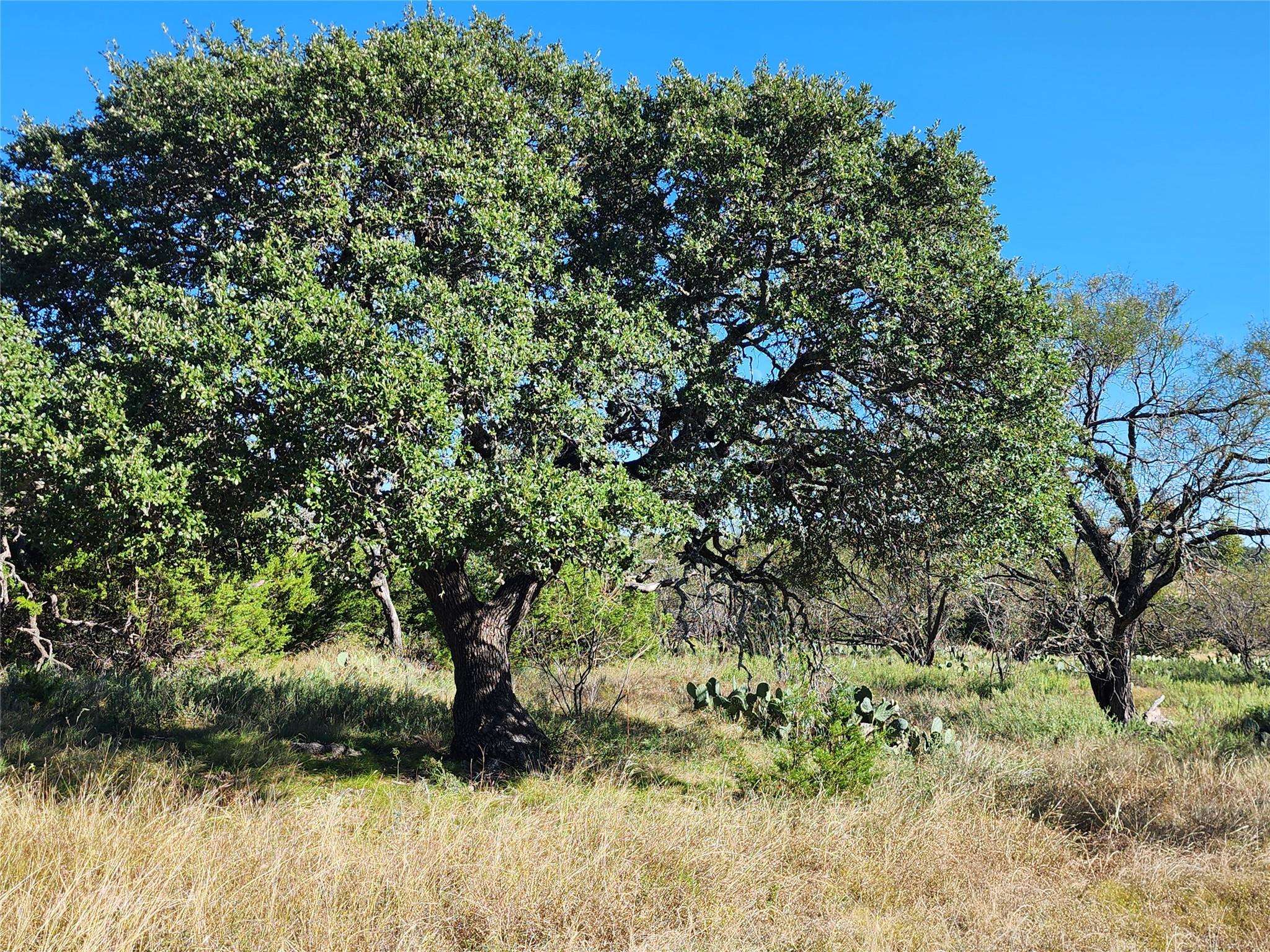 Lot 73 Shin Oak DR, Lampasas, TX 76550