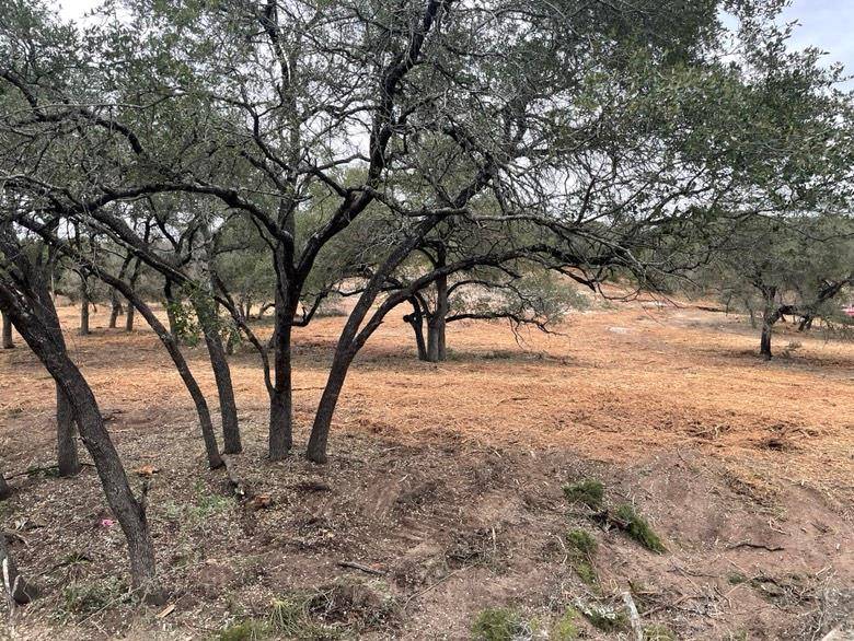 19732 Thurman Bend RD, Spicewood, TX 78669