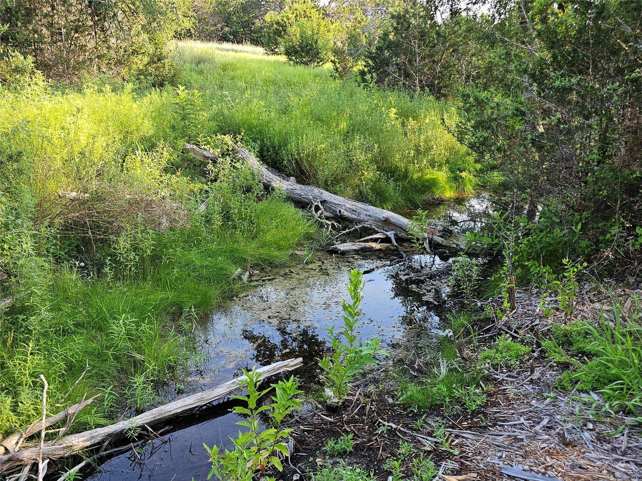 LOT 25 RIPARIAN ELM RD, Bertram, TX 78605