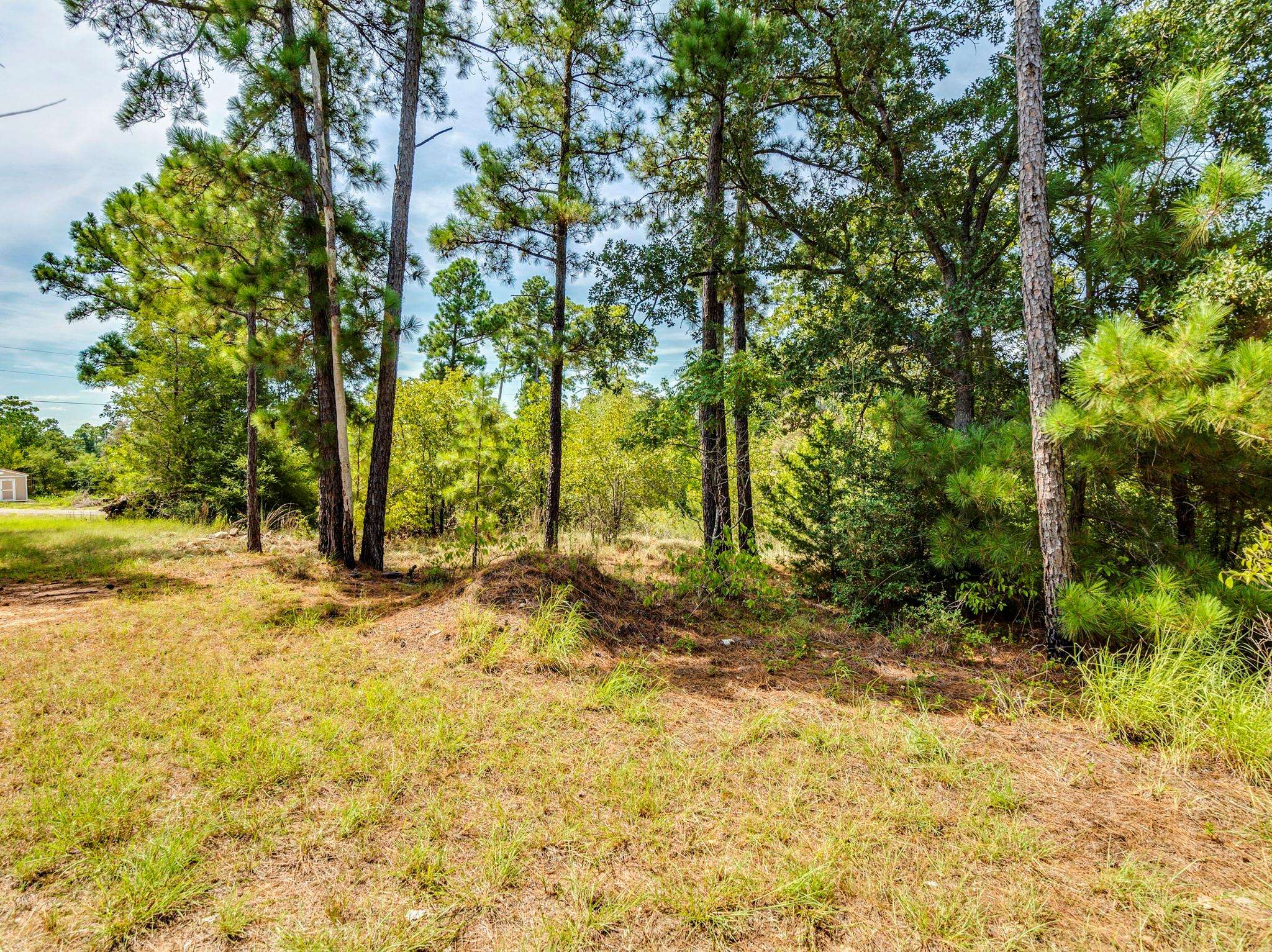 00 Makaha DR, Bastrop, TX 78602