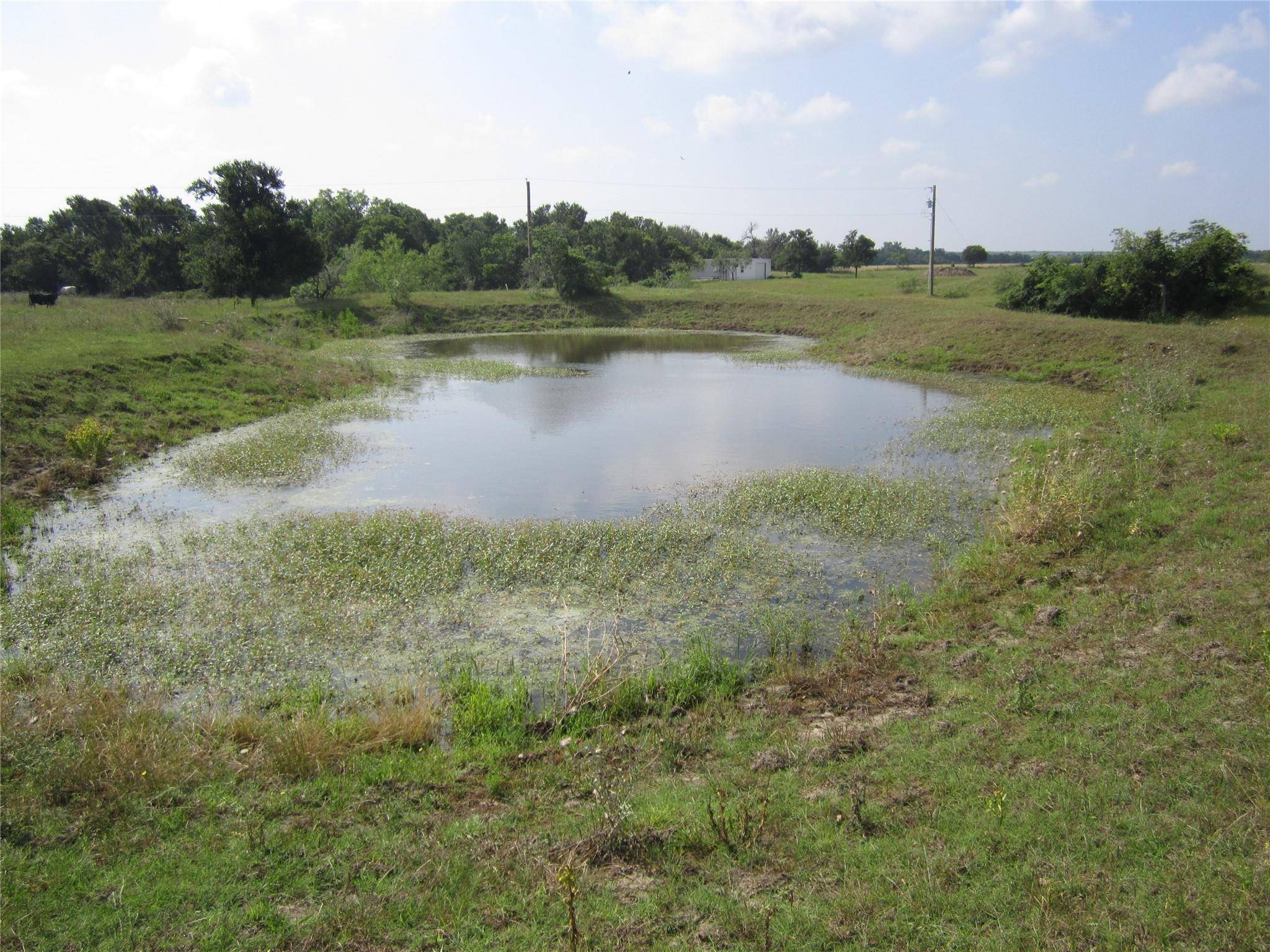 1602 County Road 470, Coupland, TX 78615