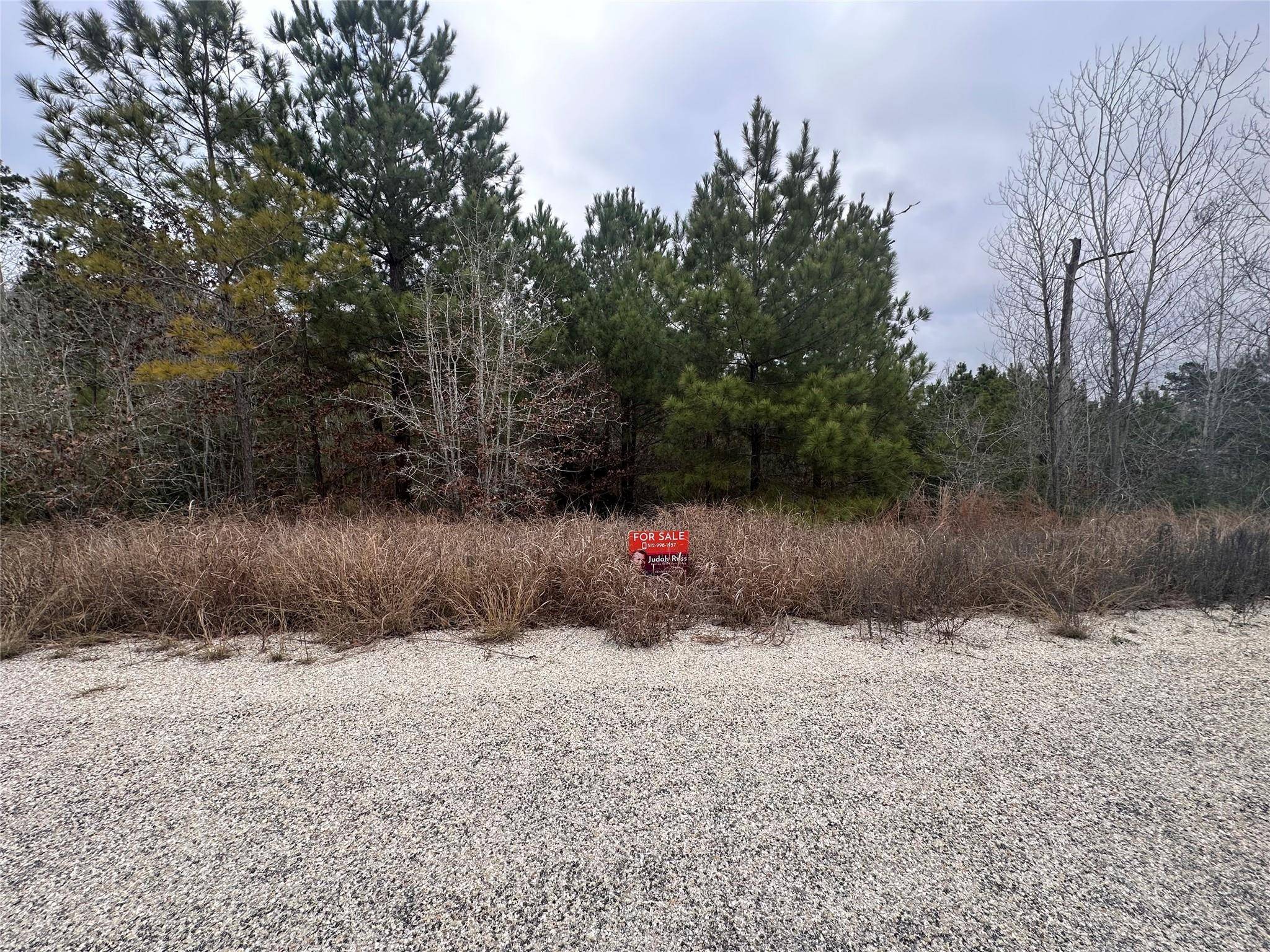 LOT 186 / R32327 Keo Kea CT, Bastrop, TX 78602
