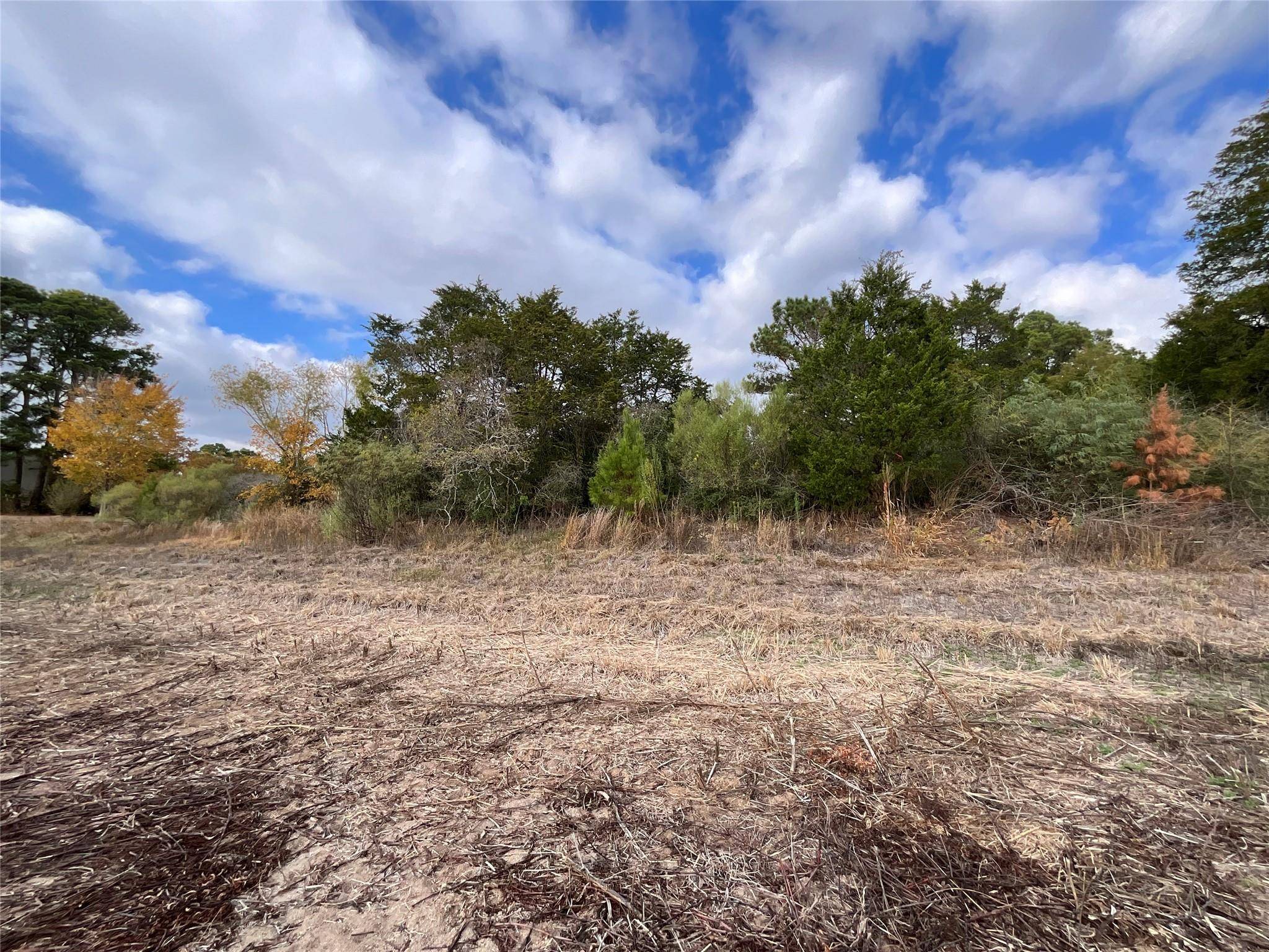 120 Shore Front DR, Bastrop, TX 78602