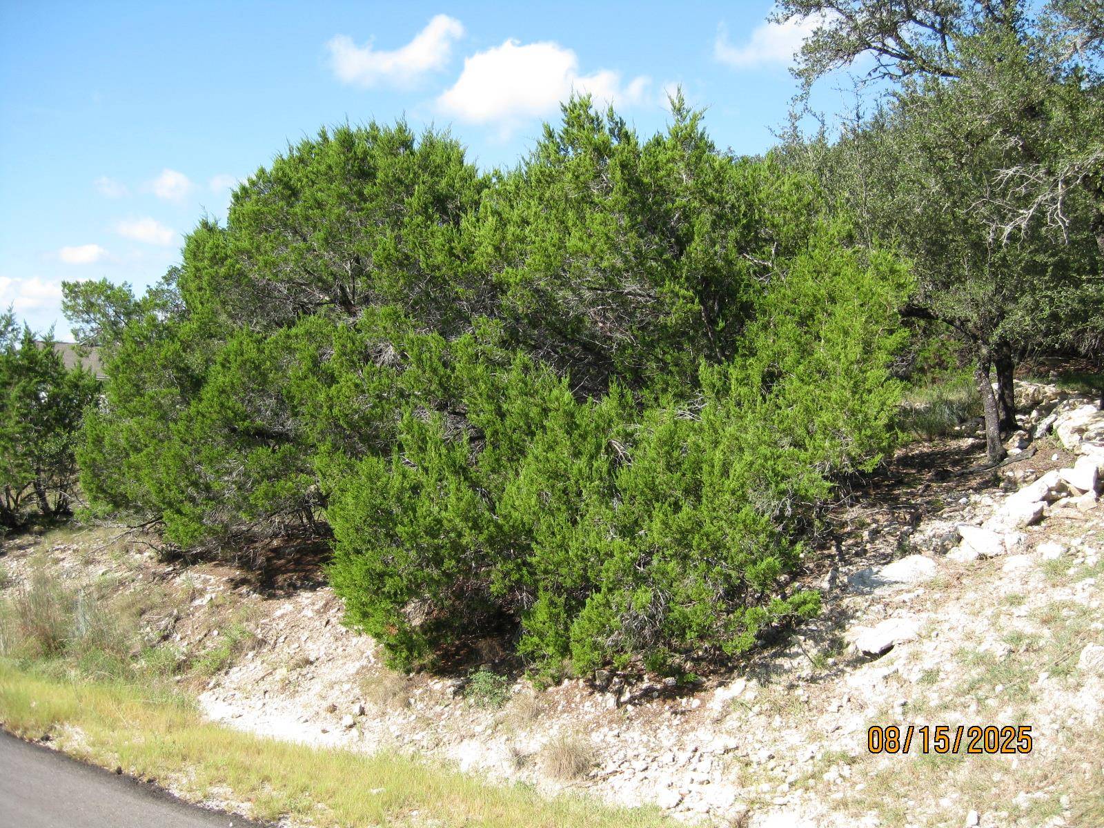 2604 Nevada CV, Lago Vista, TX 78645