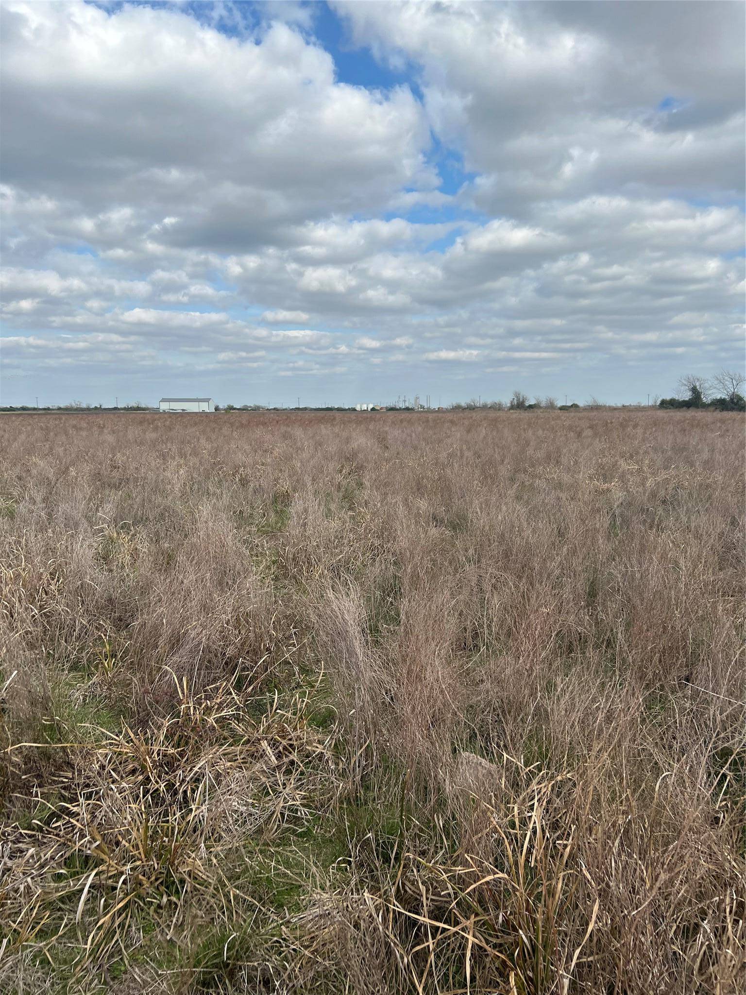 TBD lot 1 Beal RD, Eagle Lake, TX 77434