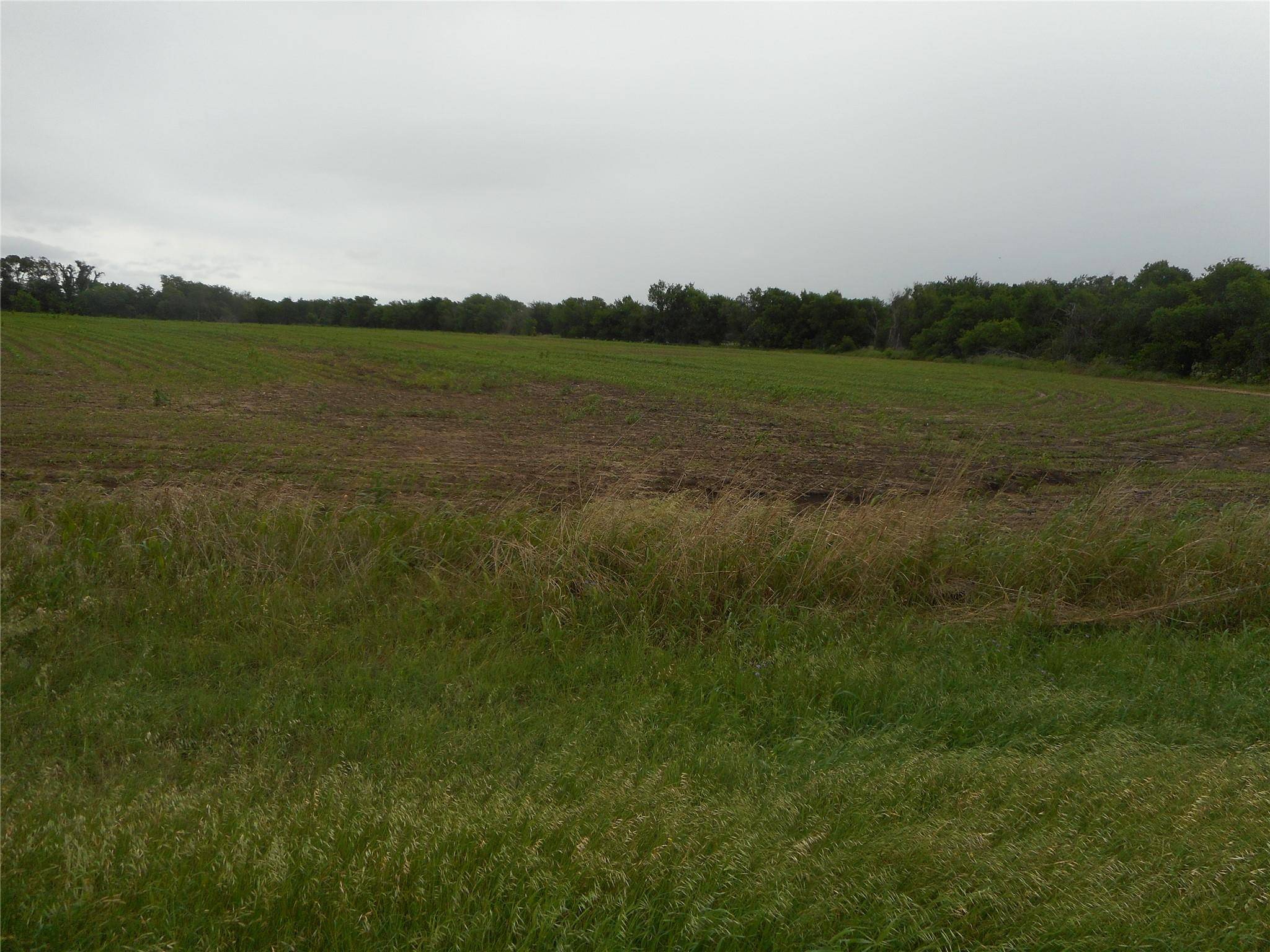 TBD N Fm 619 RD, Taylor, TX 76574