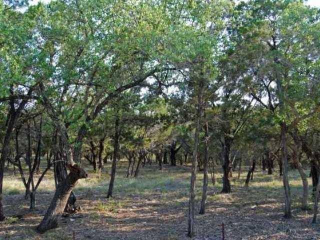 6805 Sunset Ridge WAY, Jonestown, TX 78645