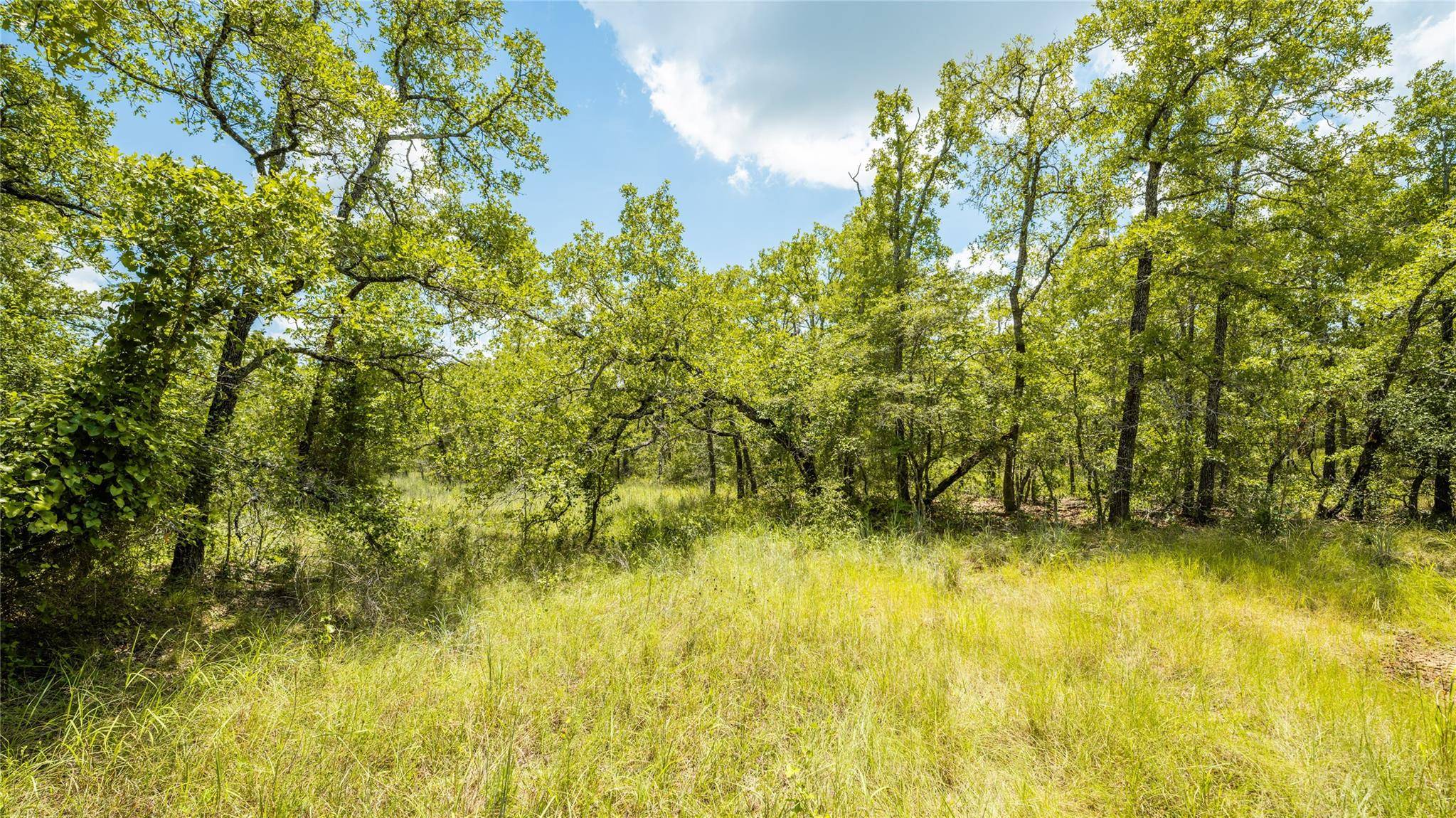 418-F County Road 405, Buckholts, TX 76518
