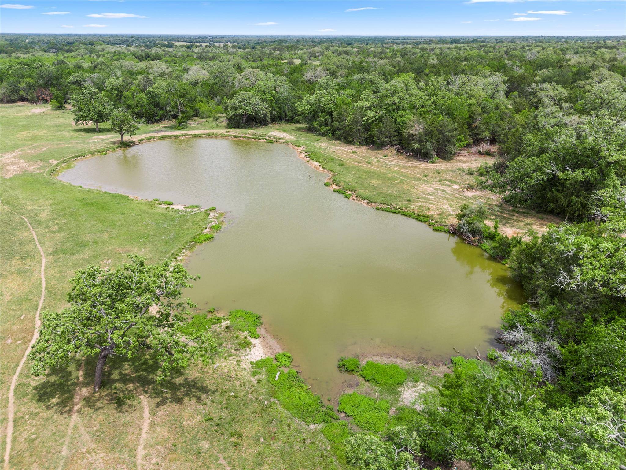 TBD 95 HWY, Flatonia, TX 78941