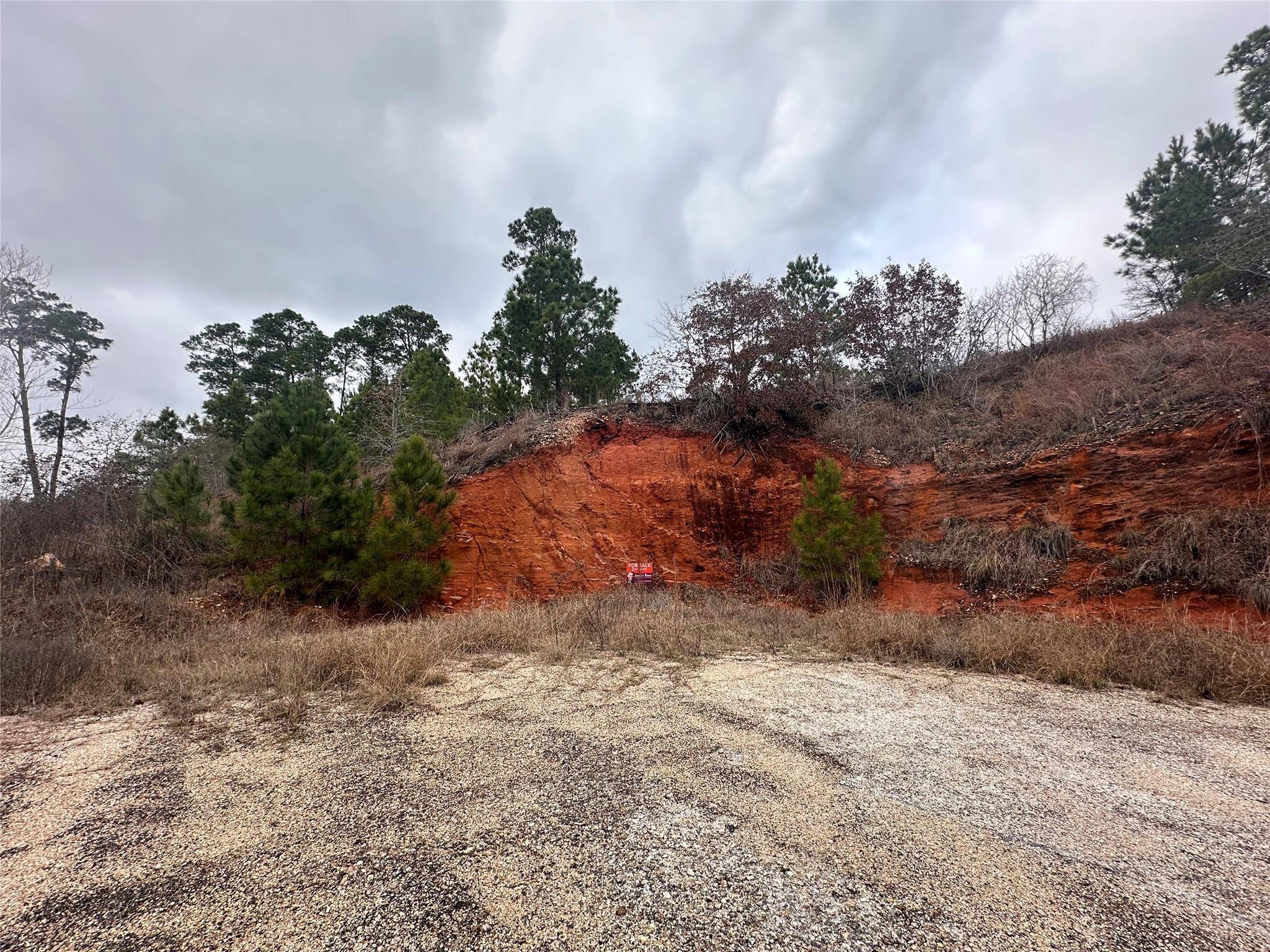 LOT 178 / R32255 Keo Kea CT, Bastrop, TX 78602