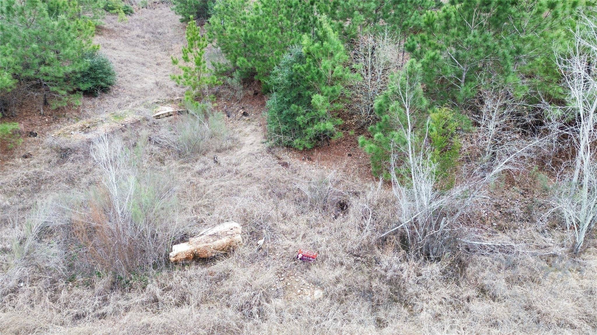 LOT 183 / R32300 Keo Kea CT, Bastrop, TX 78602