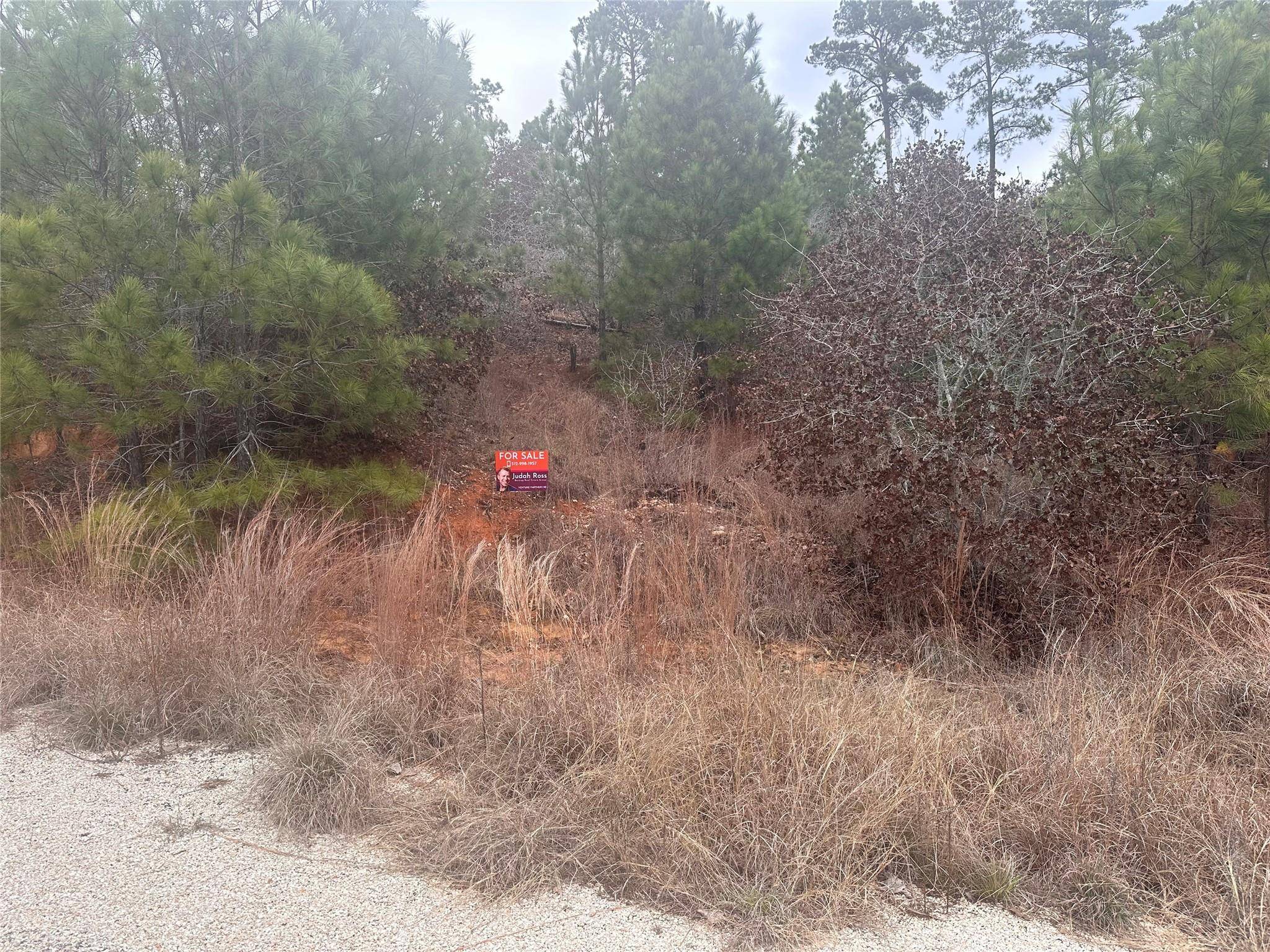 LOT 183 / R32300 Keo Kea CT, Bastrop, TX 78602
