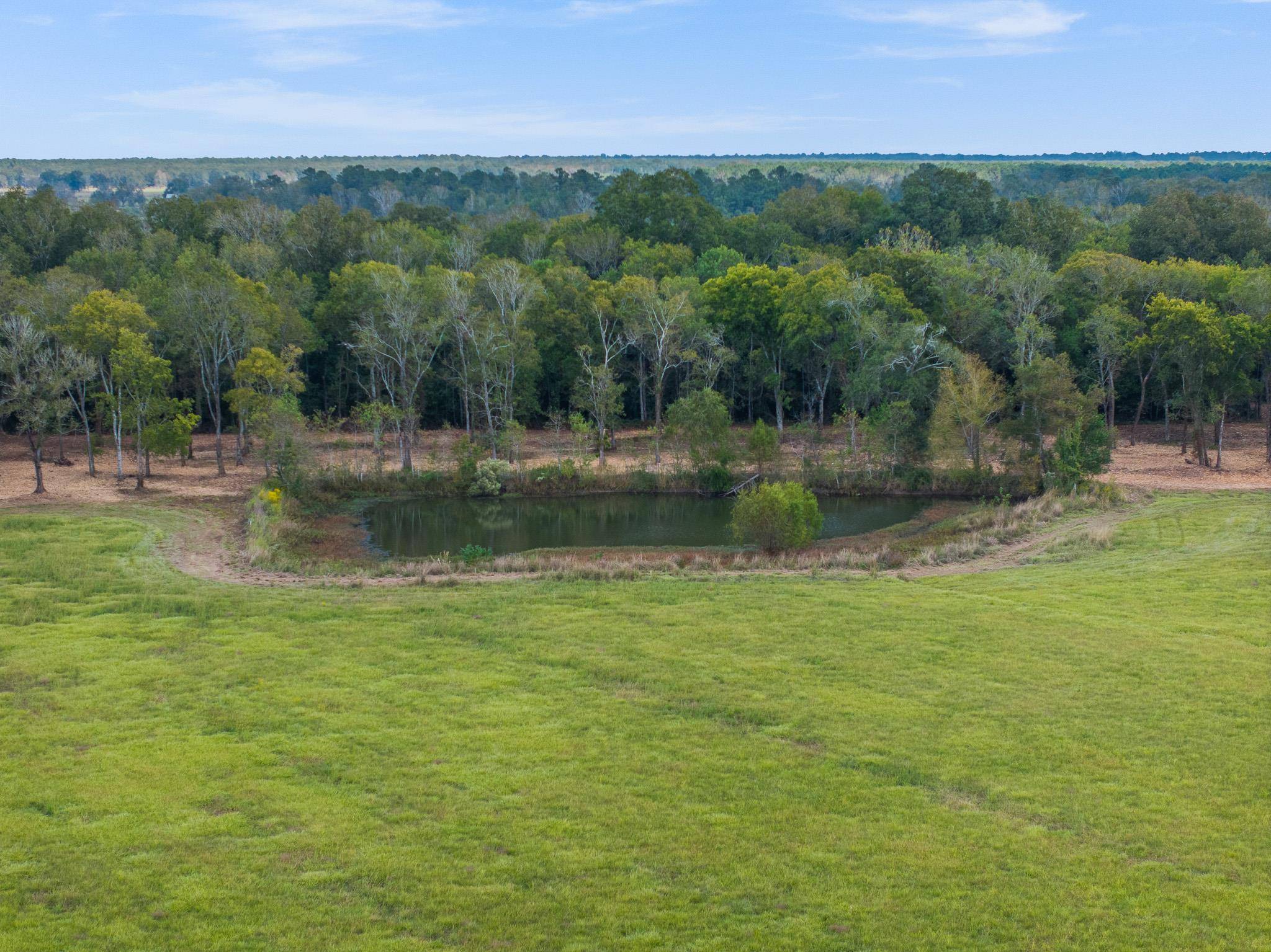 9999 FM 834, Hardin, TX 77564