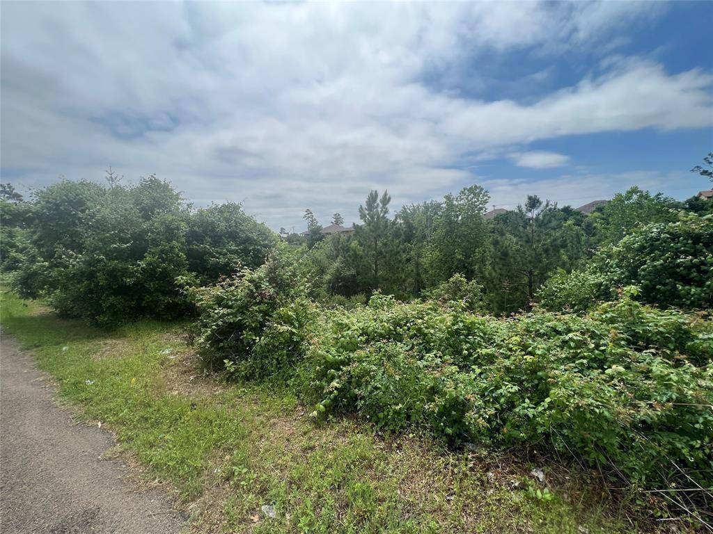 TBDD Pahala CT, Bastrop, TX 78602