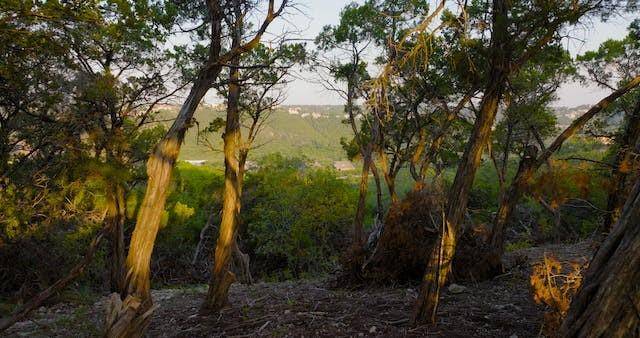 6702-6712 N Capital Of Texas HWY N, Austin, TX 78750
