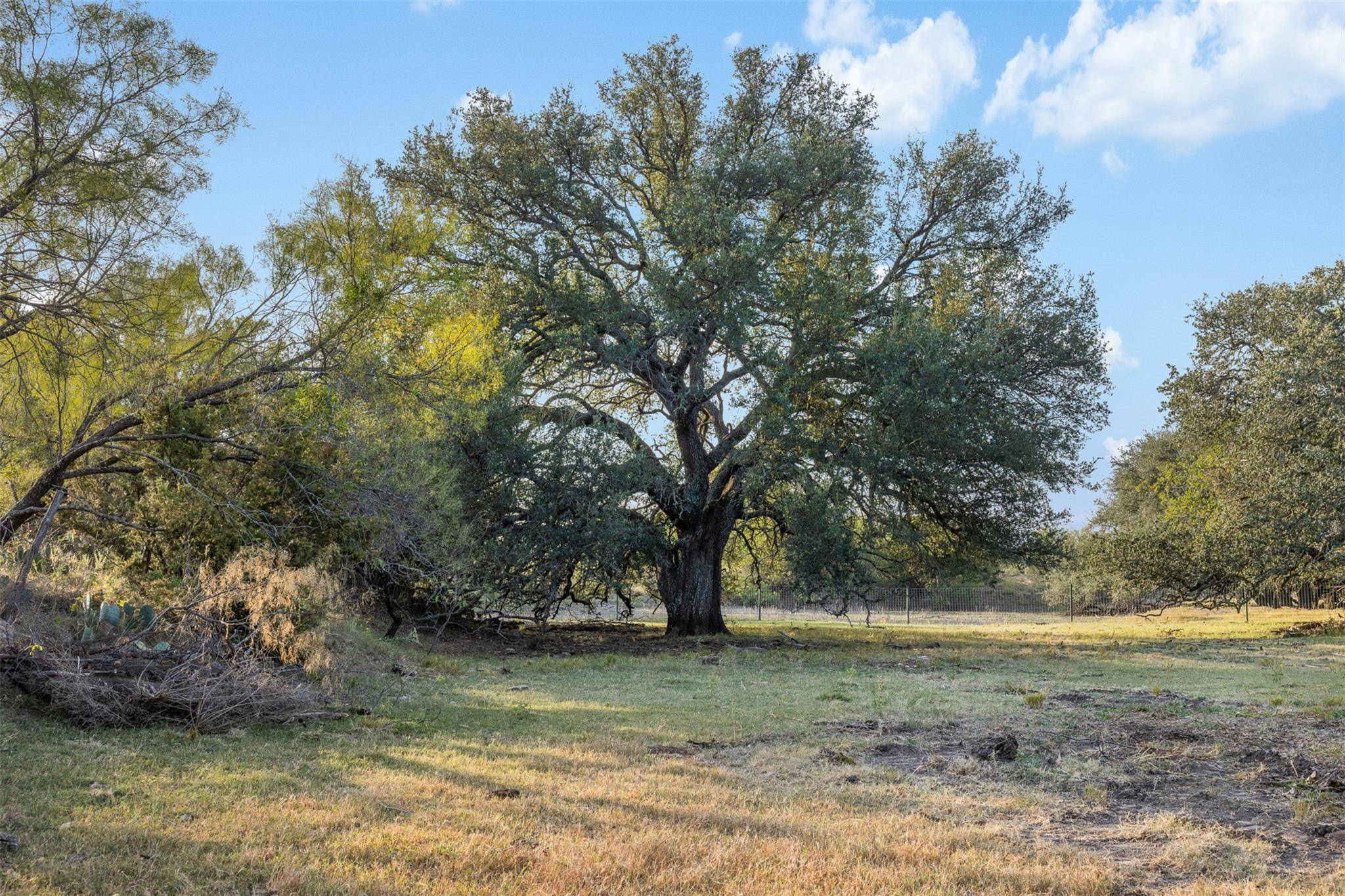 Tract 3 TBD CR 424, Rochelle, TX 76872