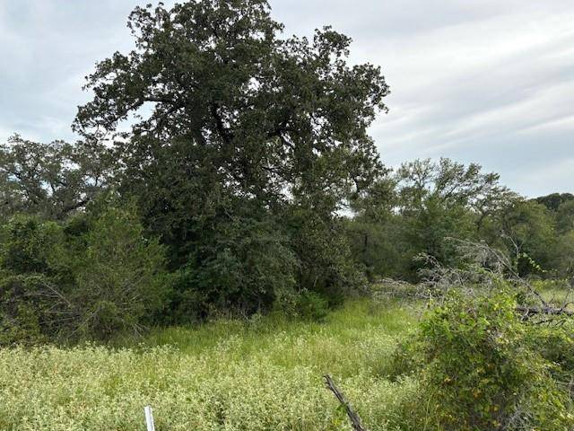 Lot #2 Willis LN, Smithville, TX 78957