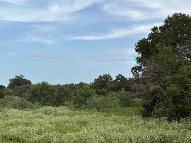 Lot #2 Willis LN, Smithville, TX 78957