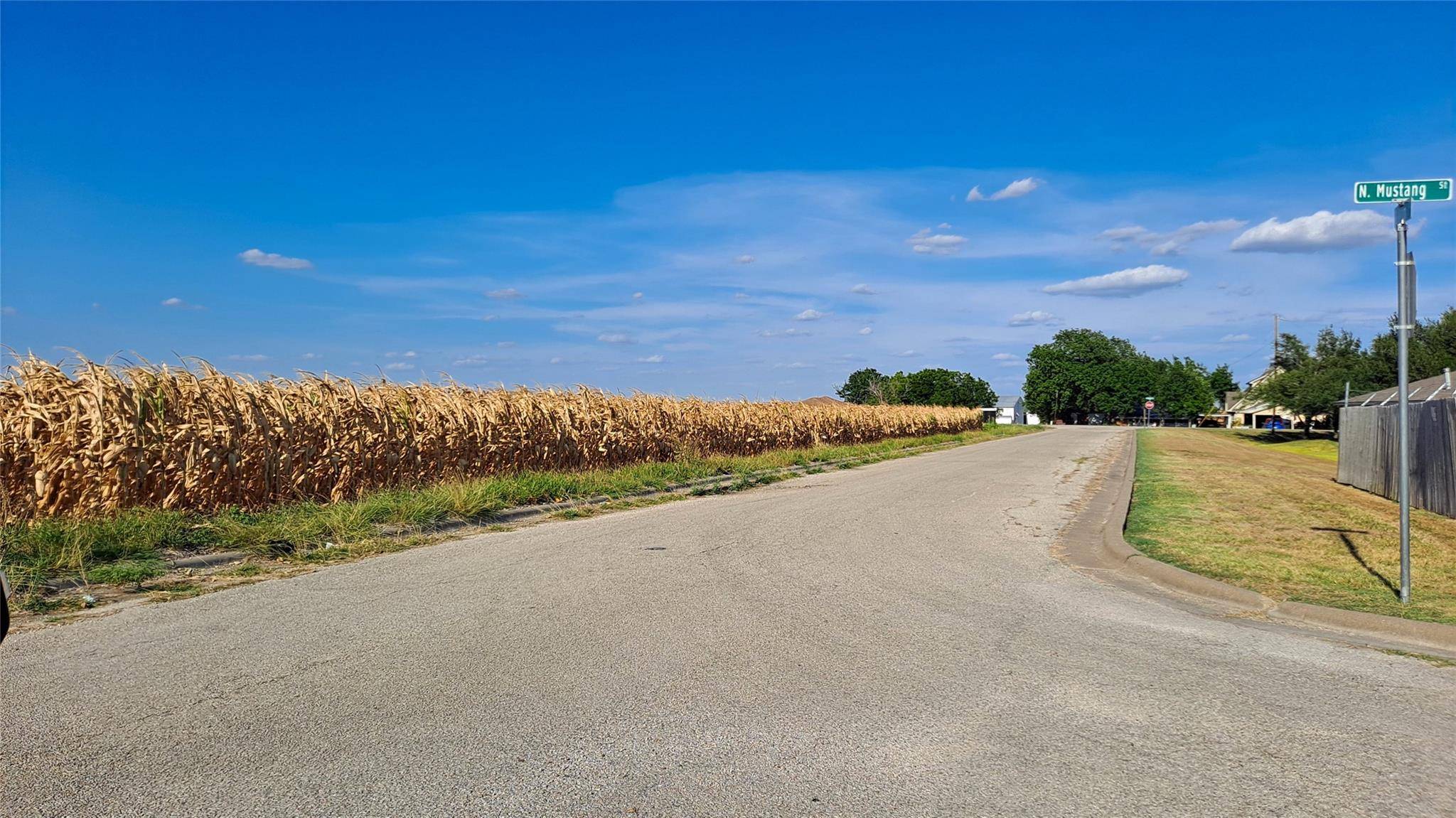 Lot 8 East Plum ST, Granger, TX 76530