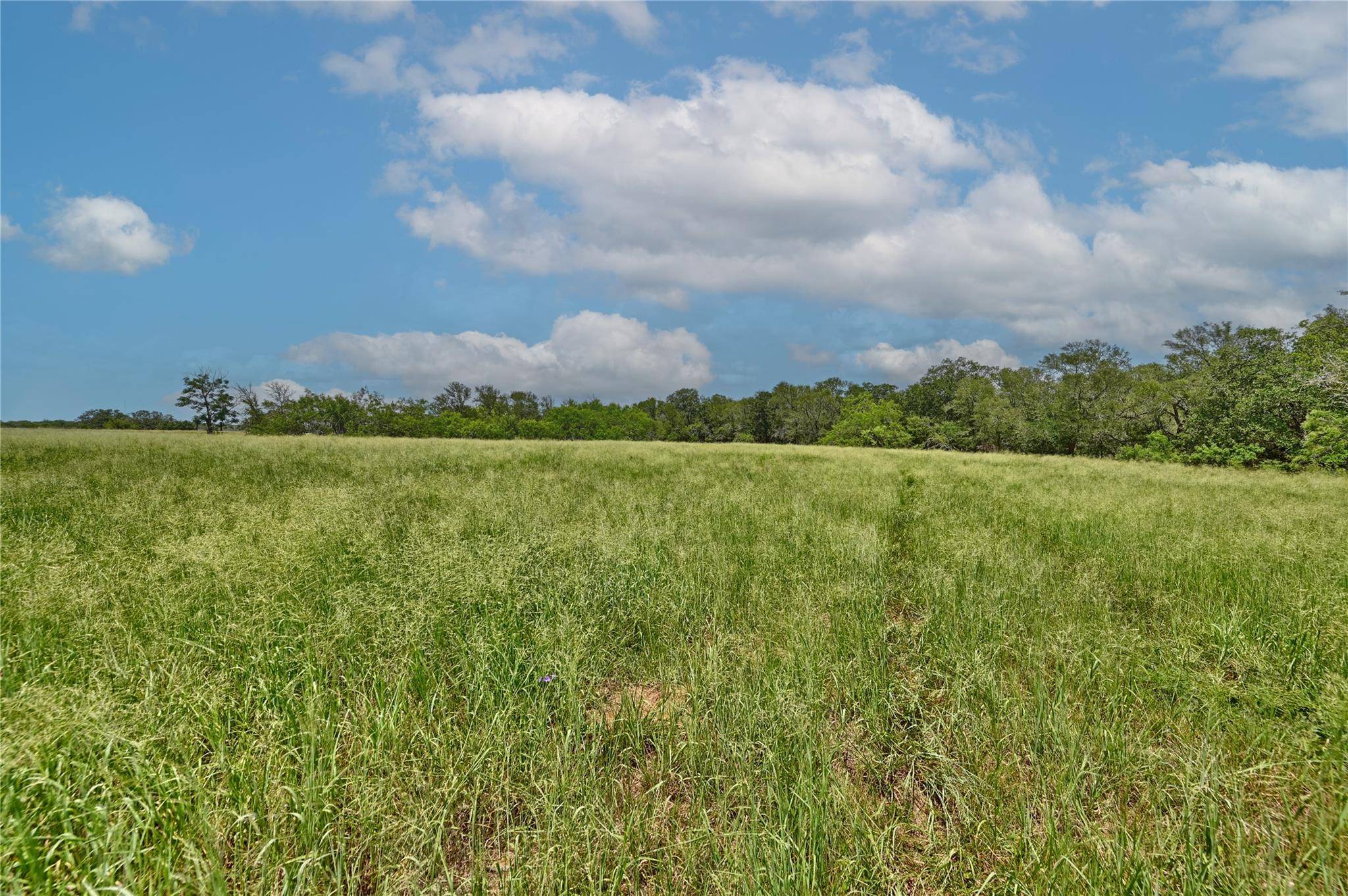 166 Sunny Day Dr, Red Rock, TX 78662