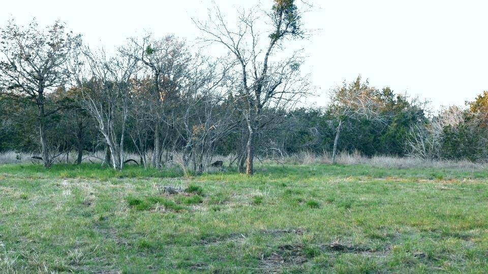 1141 Settlers RD, San Marcos, TX 78666