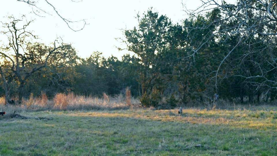 1141 Settlers RD, San Marcos, TX 78666