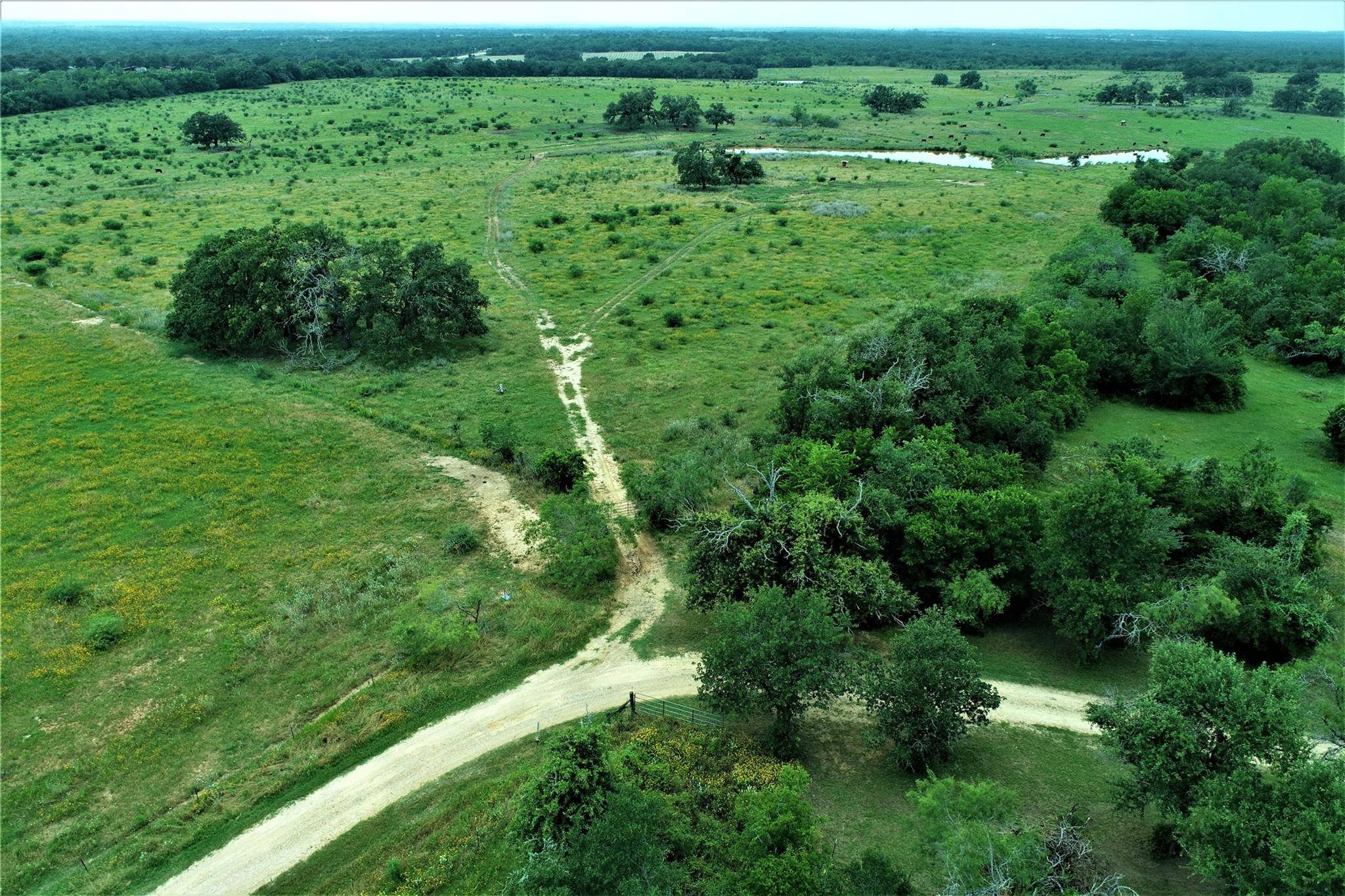 TBD CANNON SNAP RD, Milano, TX 76556