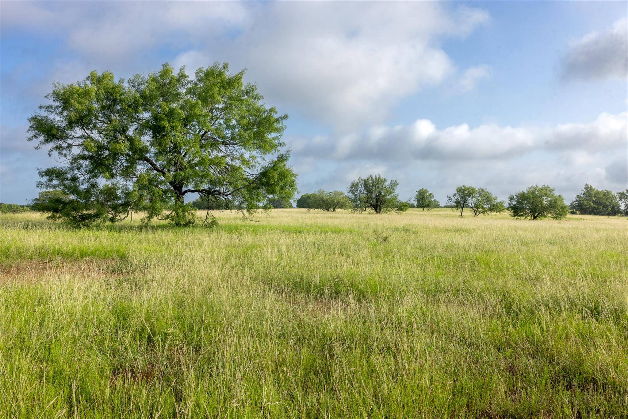 4046 State Highway 21, Caldwell, TX 77835