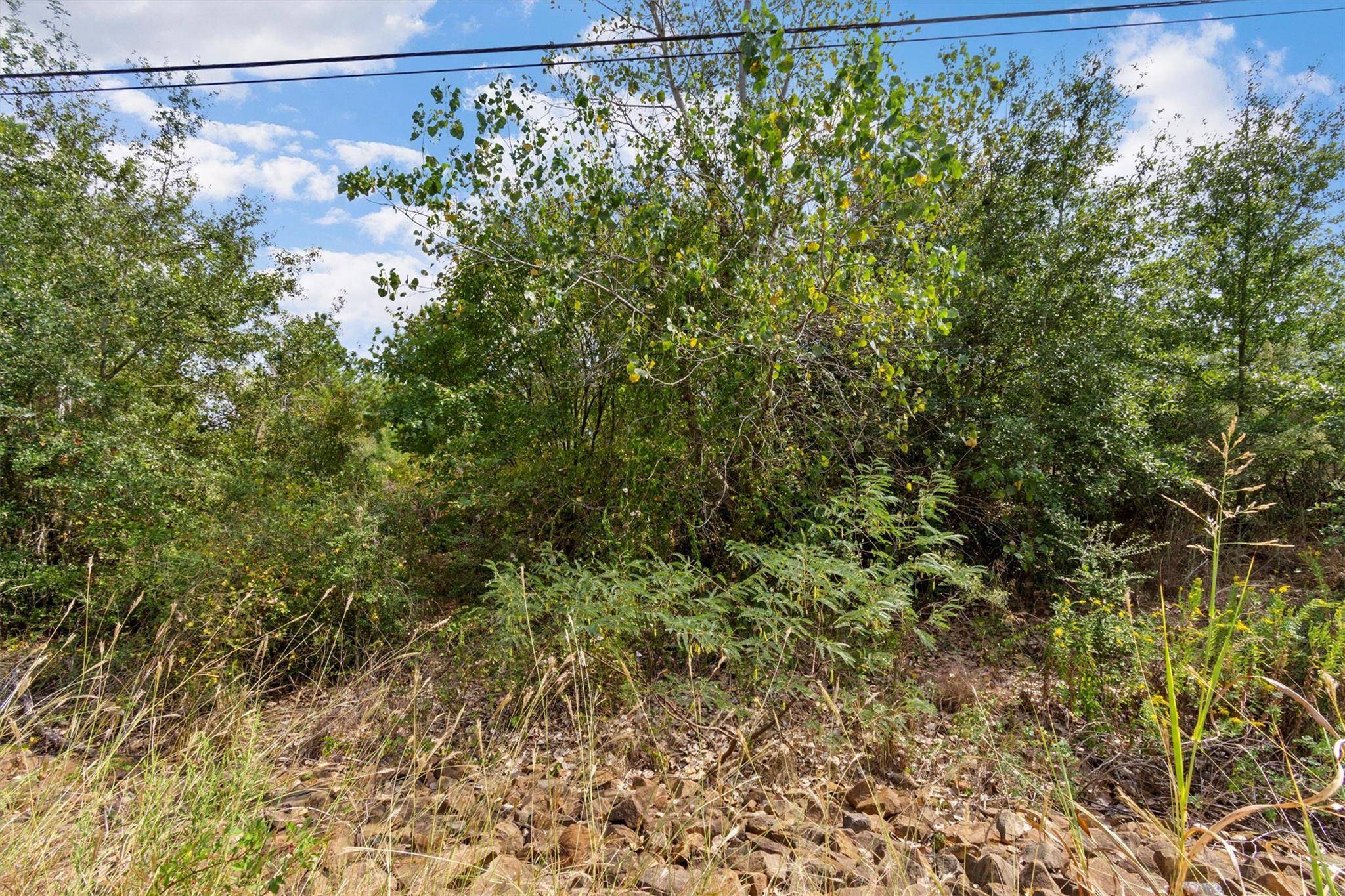 TBD Tonkawa DR, Paige, TX 78659