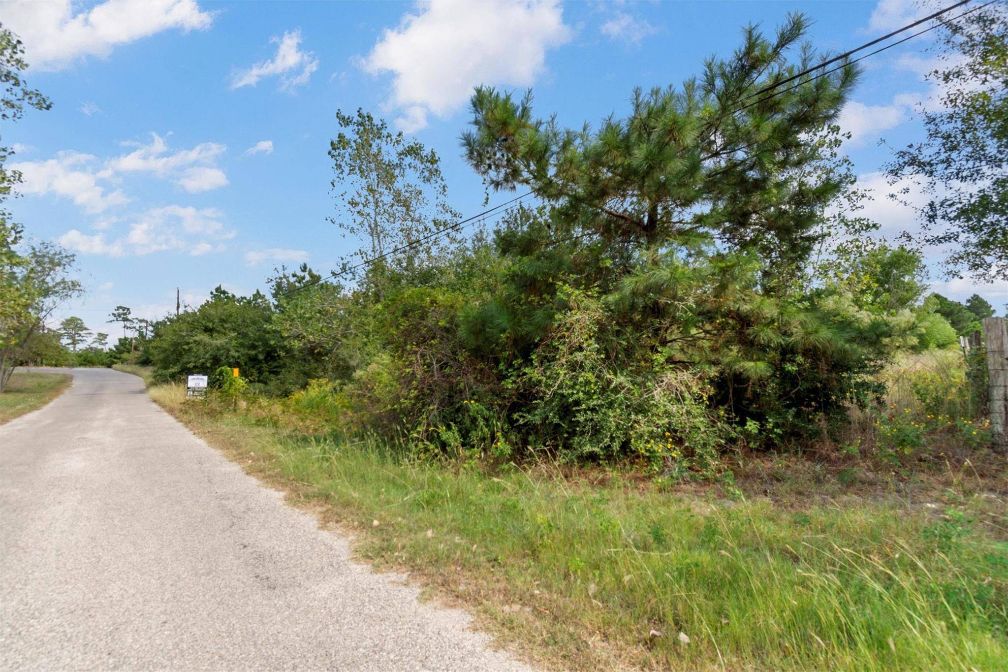TBD Tonkawa DR, Paige, TX 78659