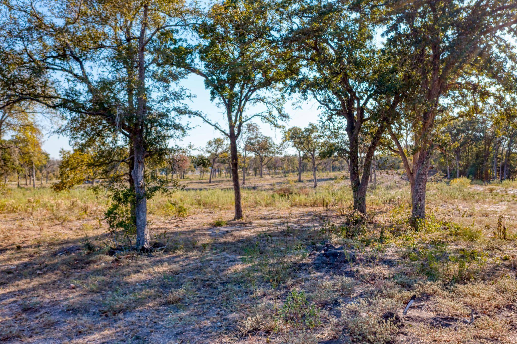 9202 Lockwood Springs RD, Manor, TX 78653