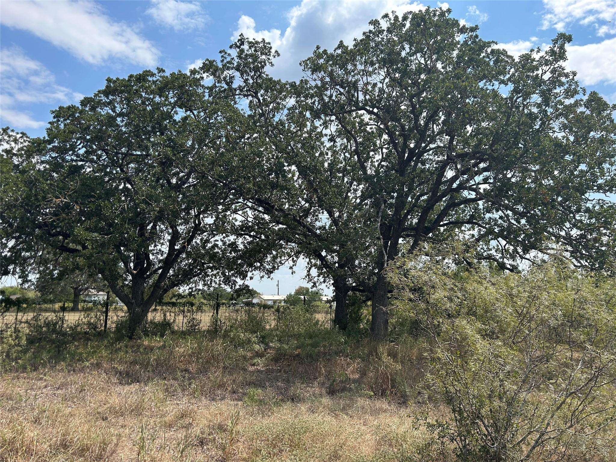 303 Walter Hoffman RD, Cedar Creek, TX 78612
