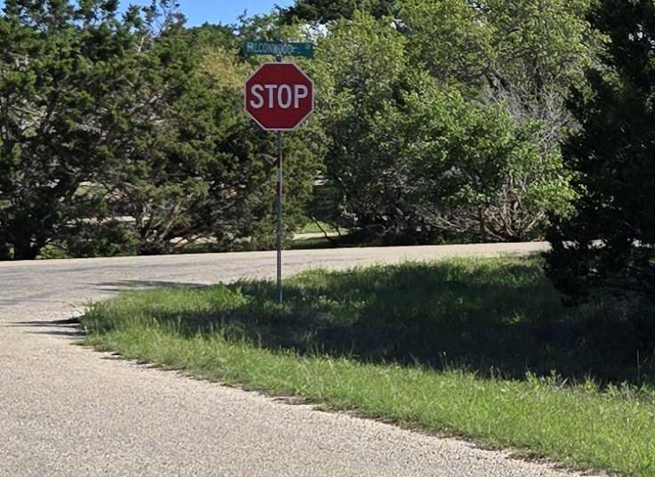 343 Falconwood DR, San Marcos, TX 78666