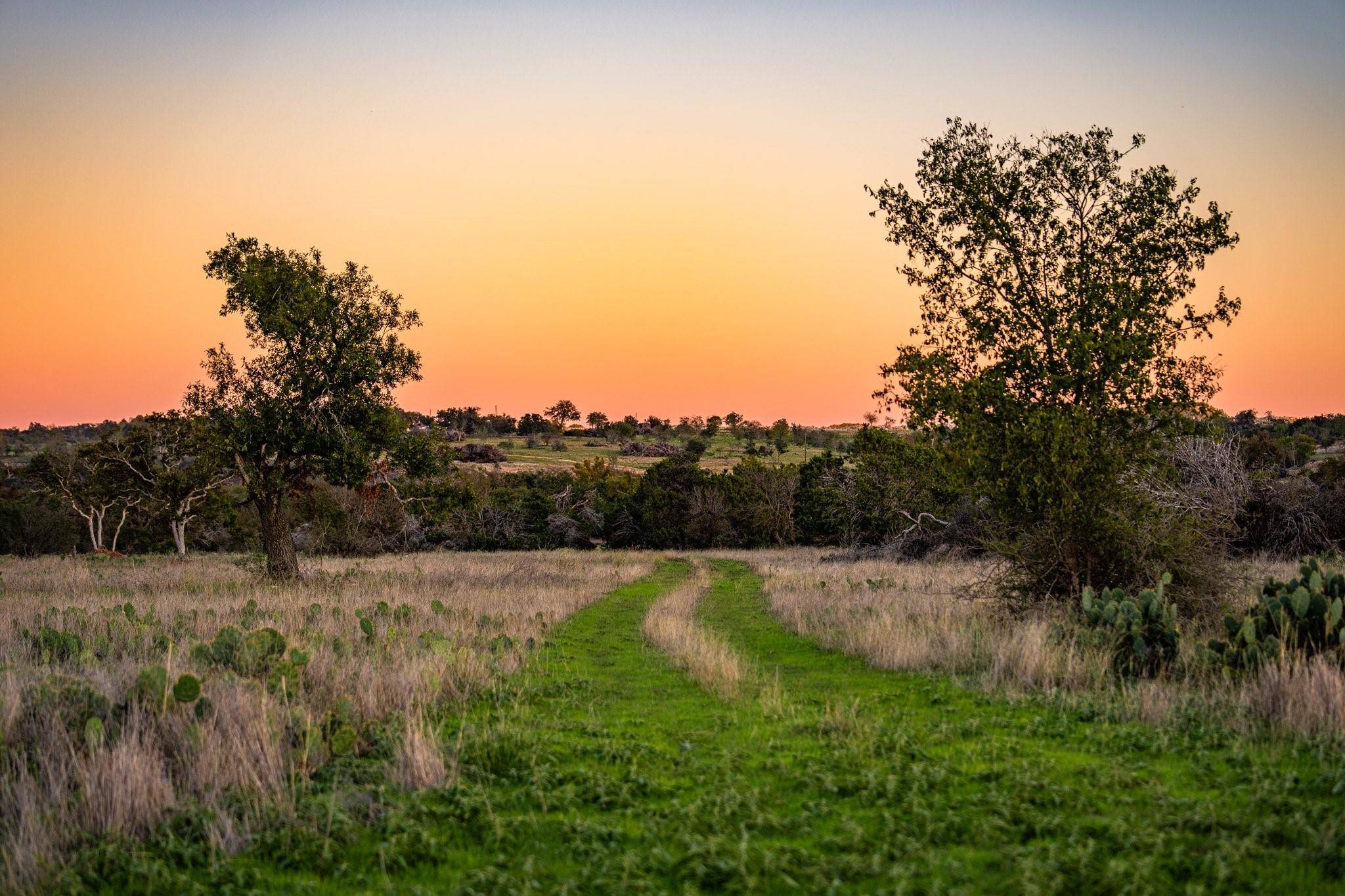 TBD FM 2843, Salado, TX 76571