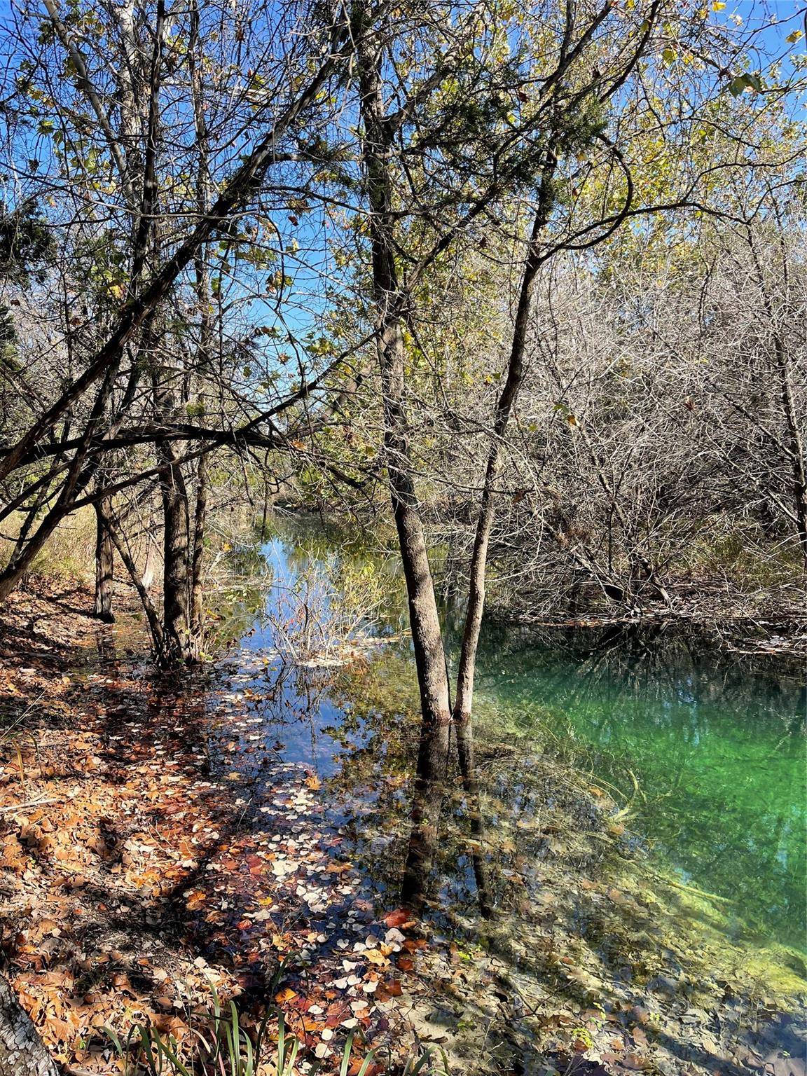 8170 N US Hwy 281 HWY, Blanco, TX 78606